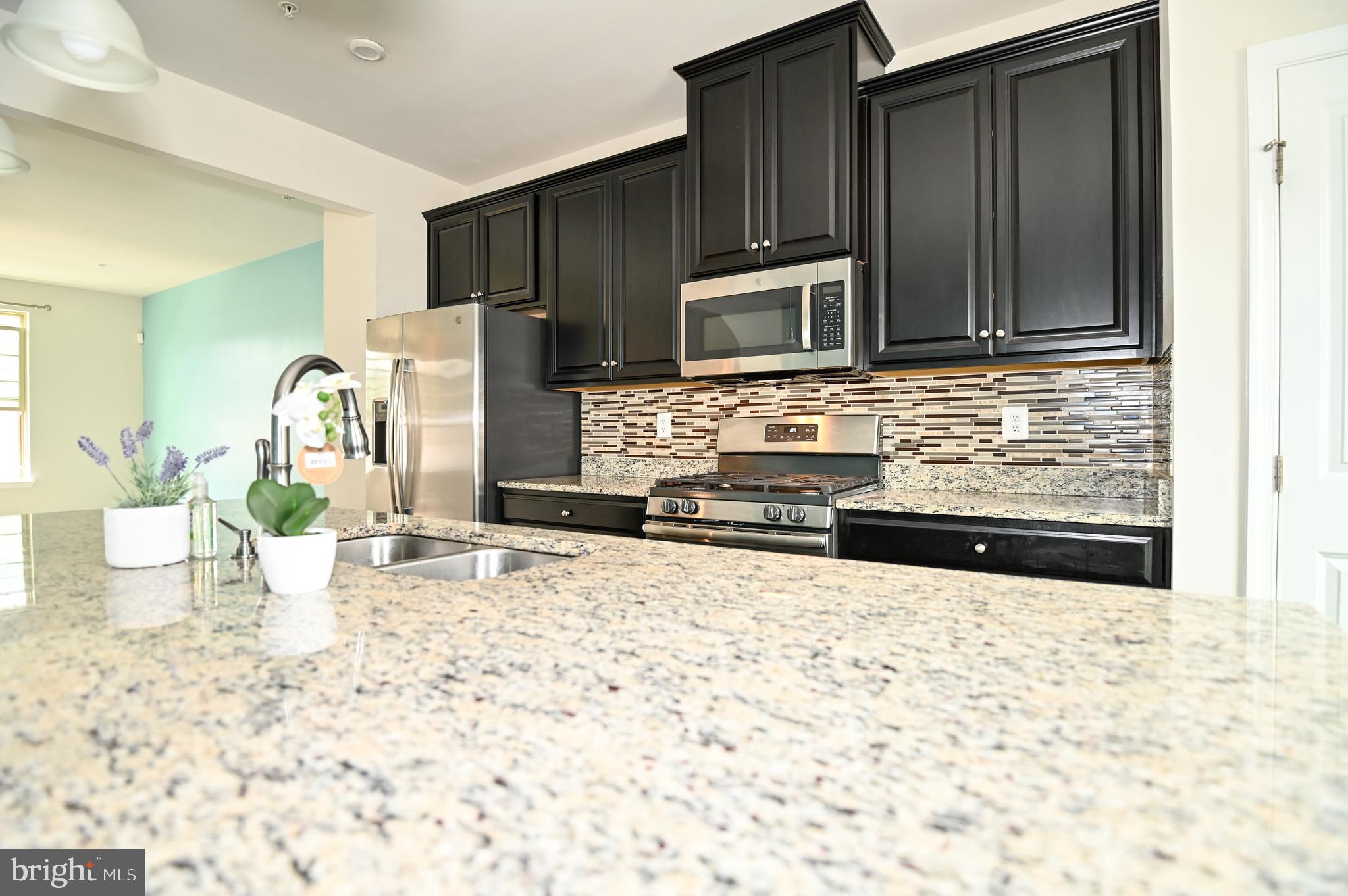 PRESERVE AT WINDLASS RUN - Residential