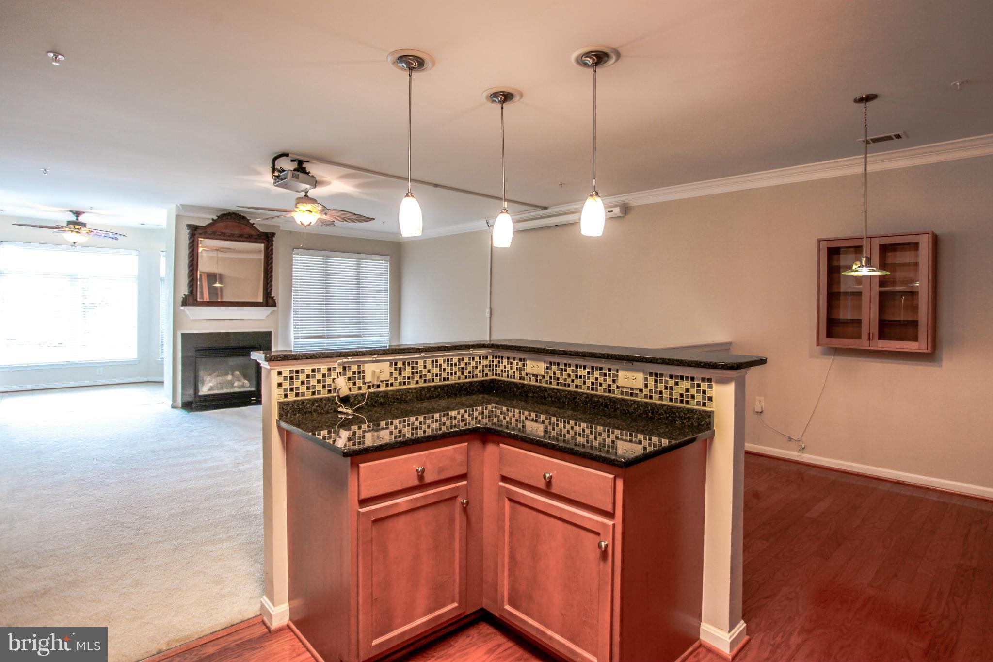 POTOMAC POINTE - Residential