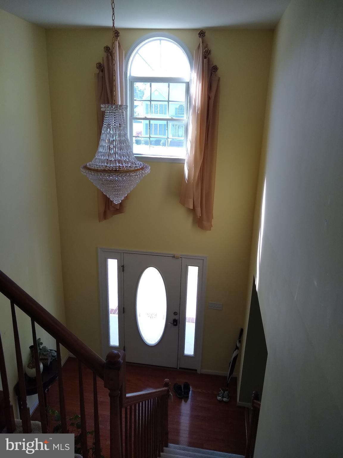 FOXBORO DOWNS - Residential