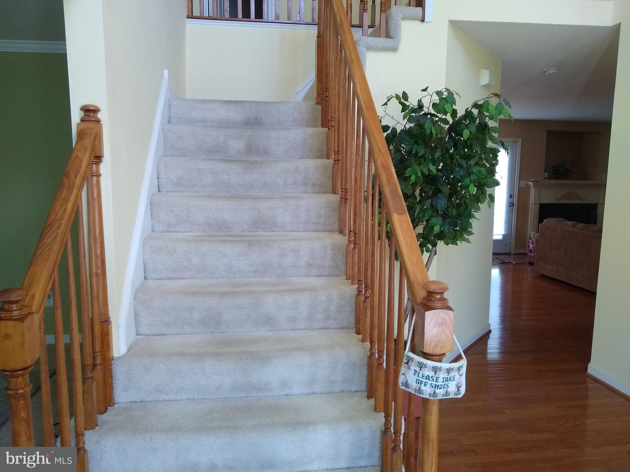 FOXBORO DOWNS - Residential