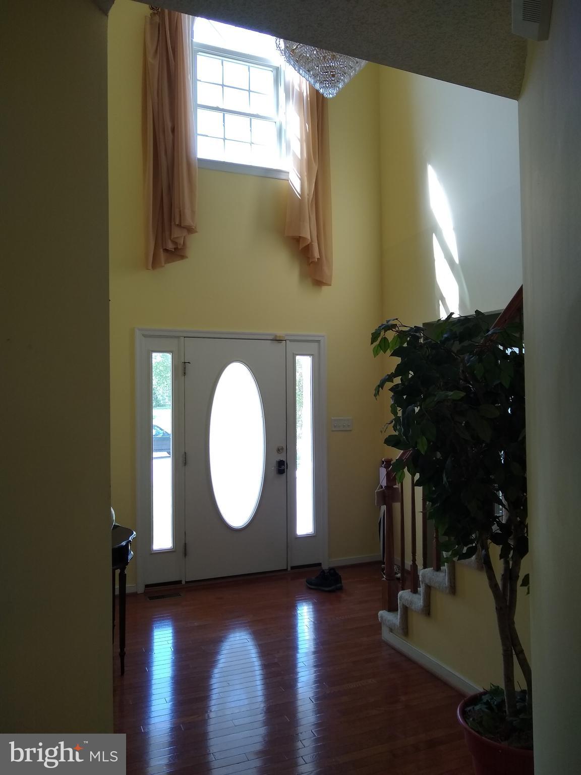 FOXBORO DOWNS - Residential