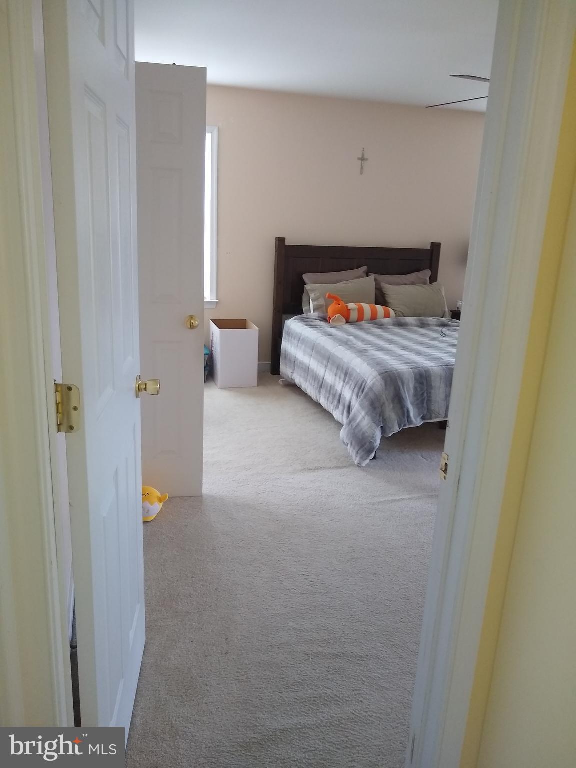 FOXBORO DOWNS - Residential