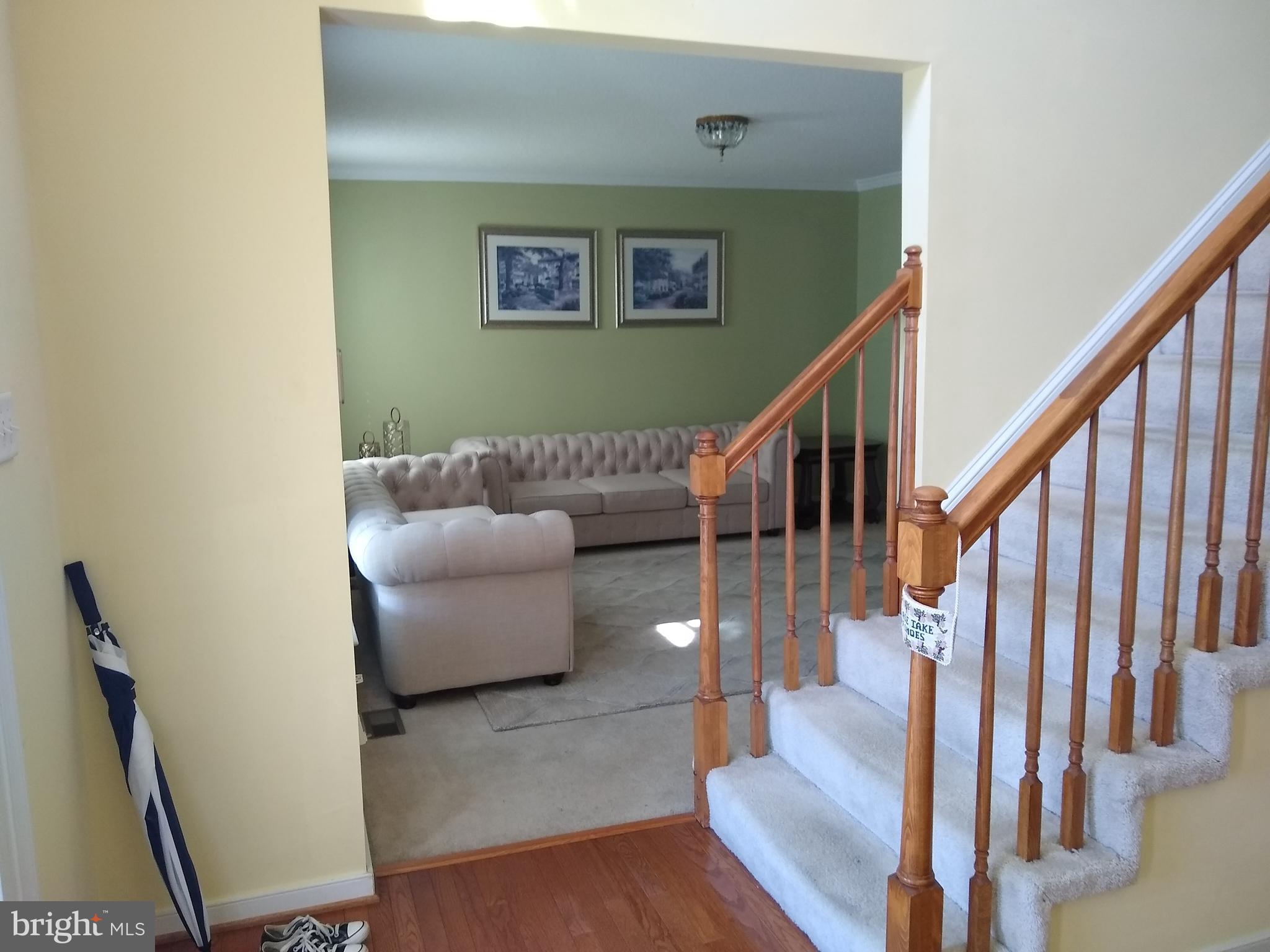 FOXBORO DOWNS - Residential