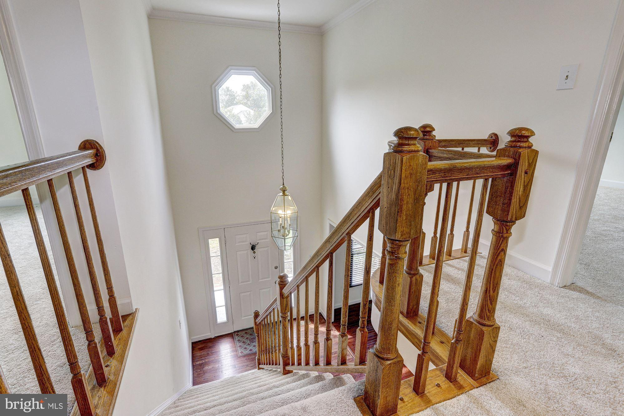 BOONE MEADOWS - Residential