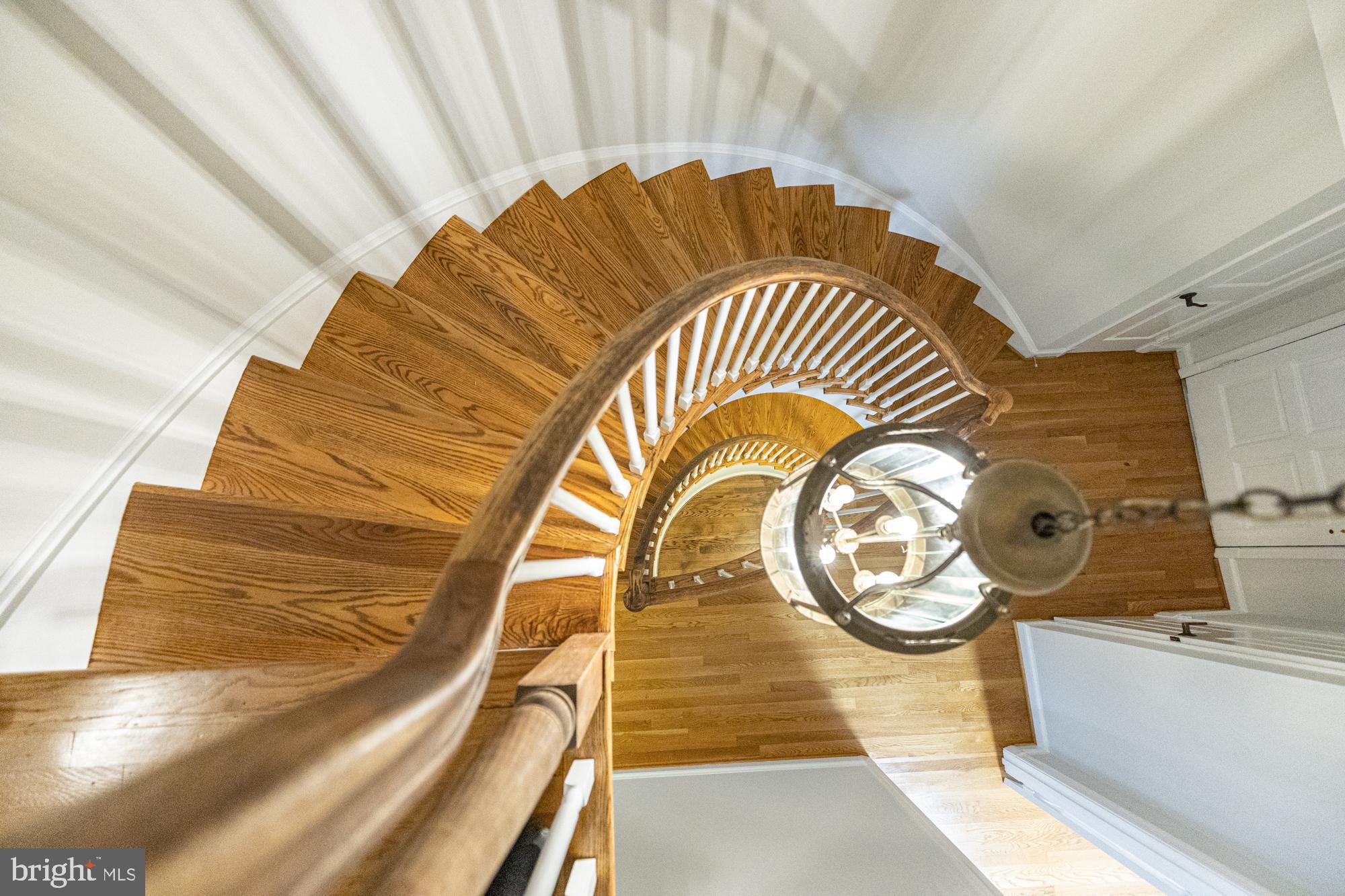 FOREST HILLS - Residential Lease