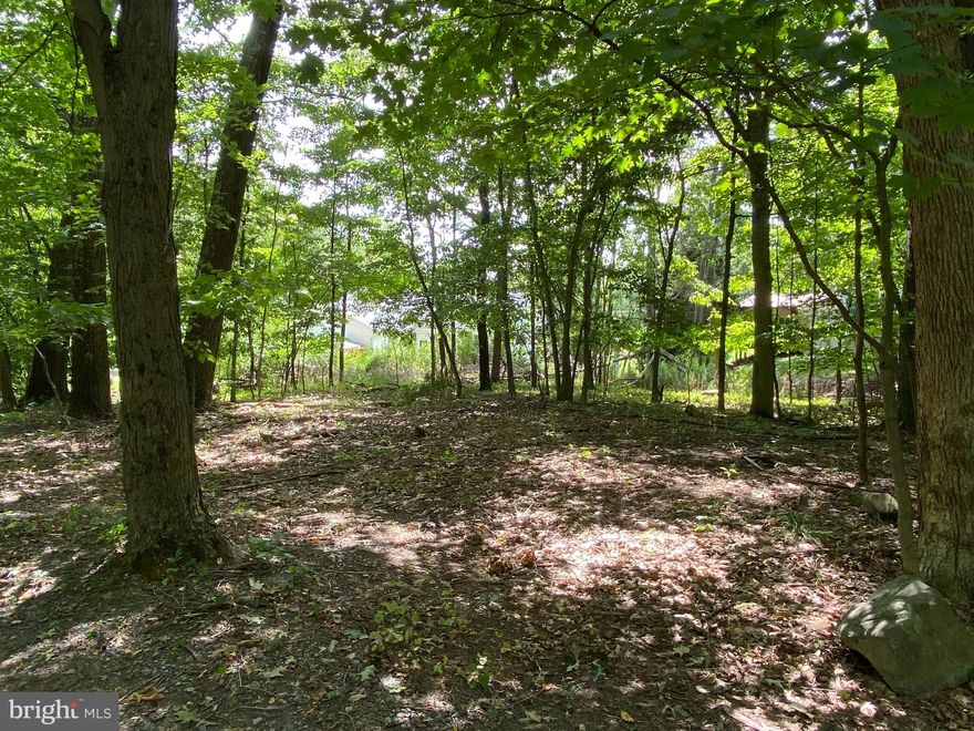 This wooded lot is approx. 3.75 acres.  Located within the City limits, this property is secluded, with a creek running through it.  Public water and sewer are available.  Call Today for additional information!!!