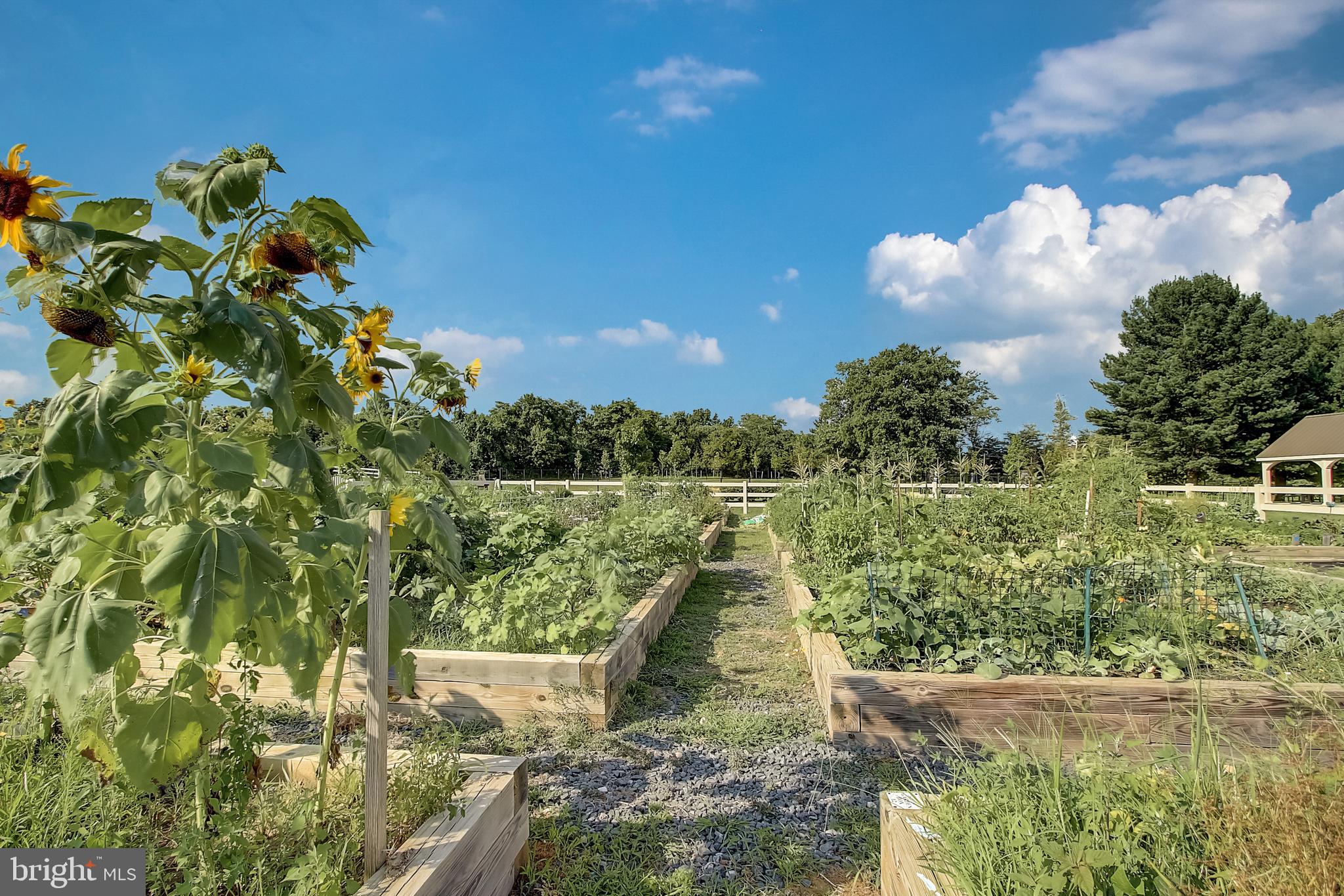 SHIPLEY HOMESTEAD - Residential