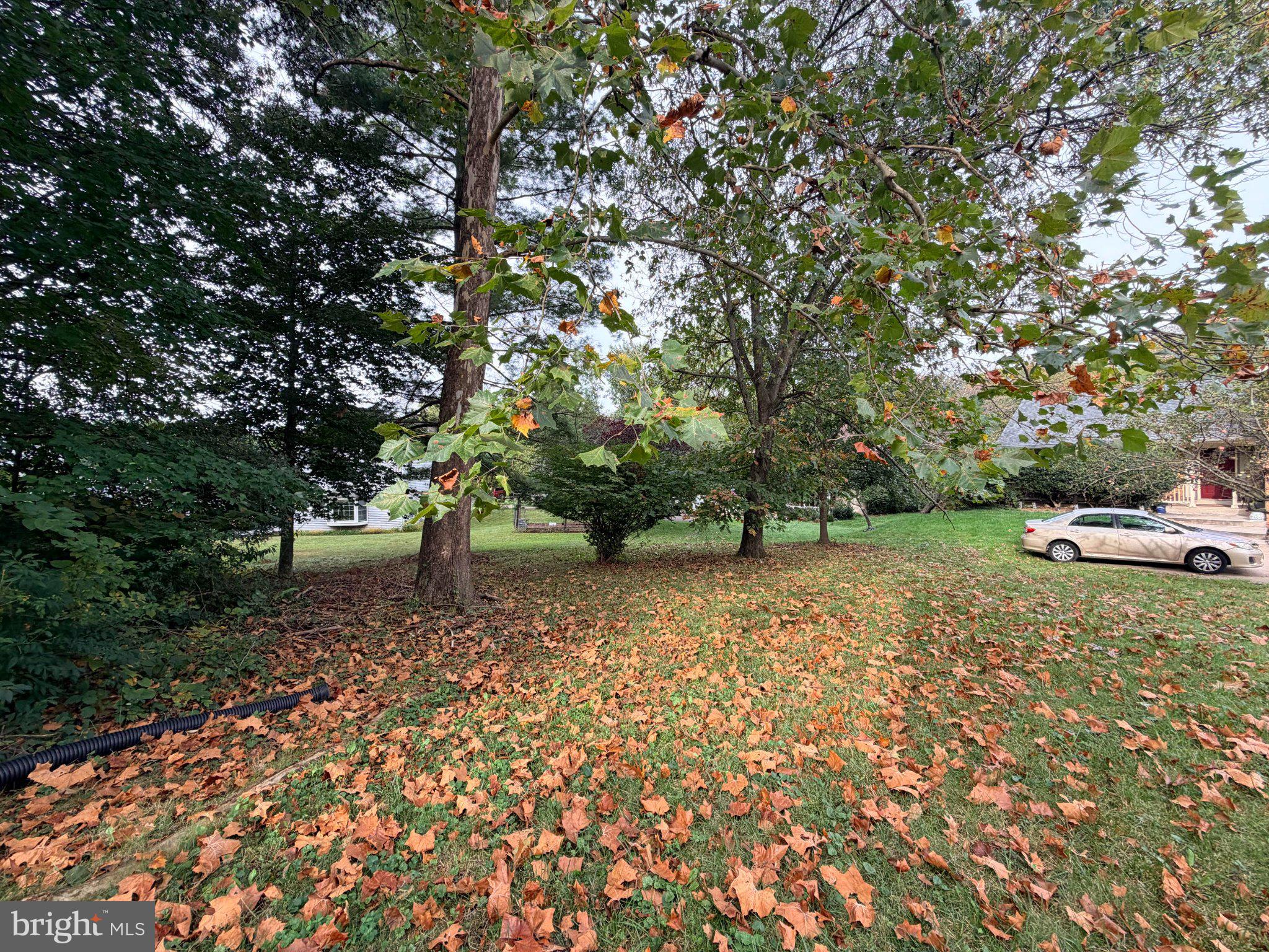 2606 THOMAS YOUNG LANE