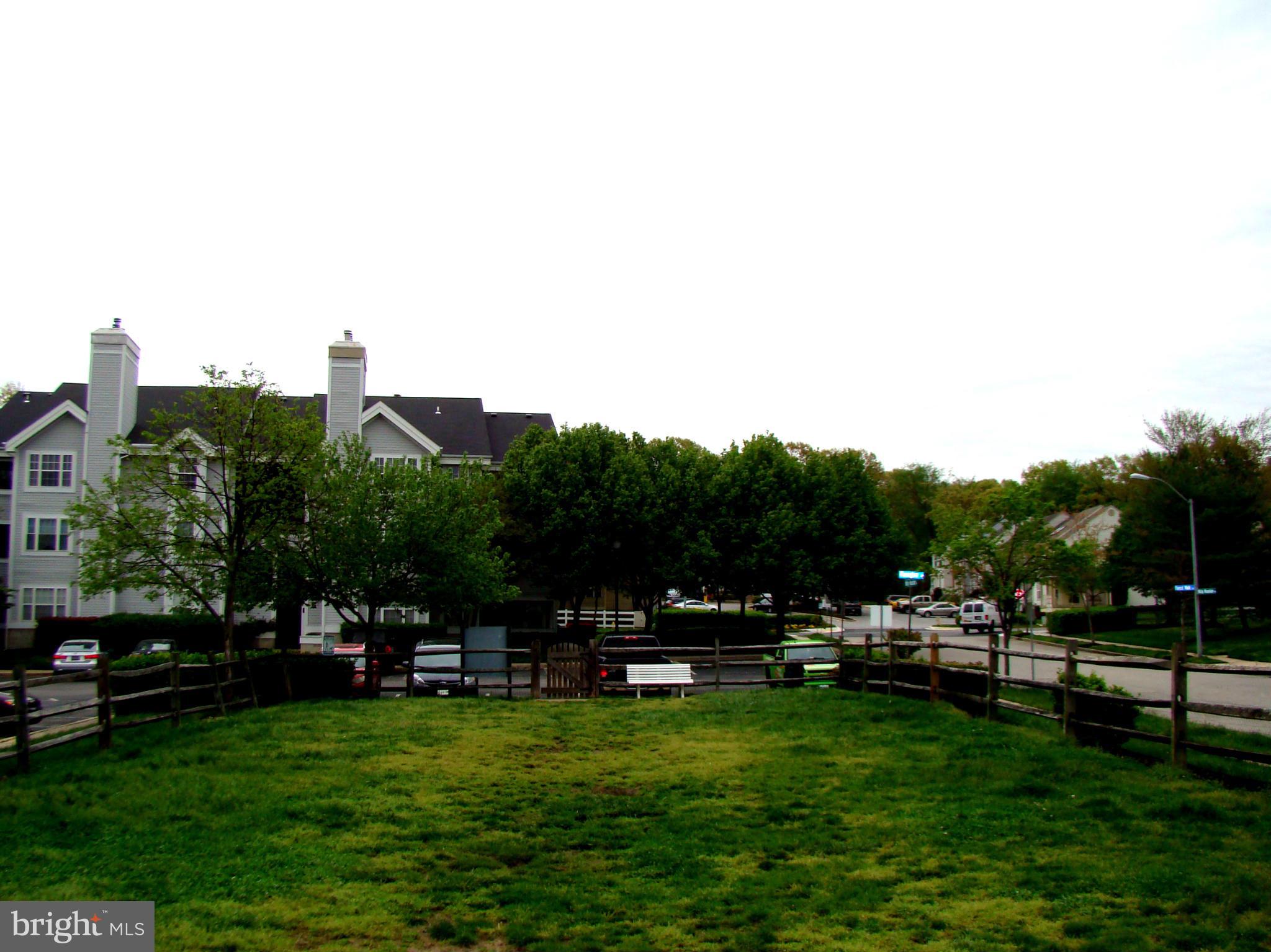 LIONS GATE - Residential