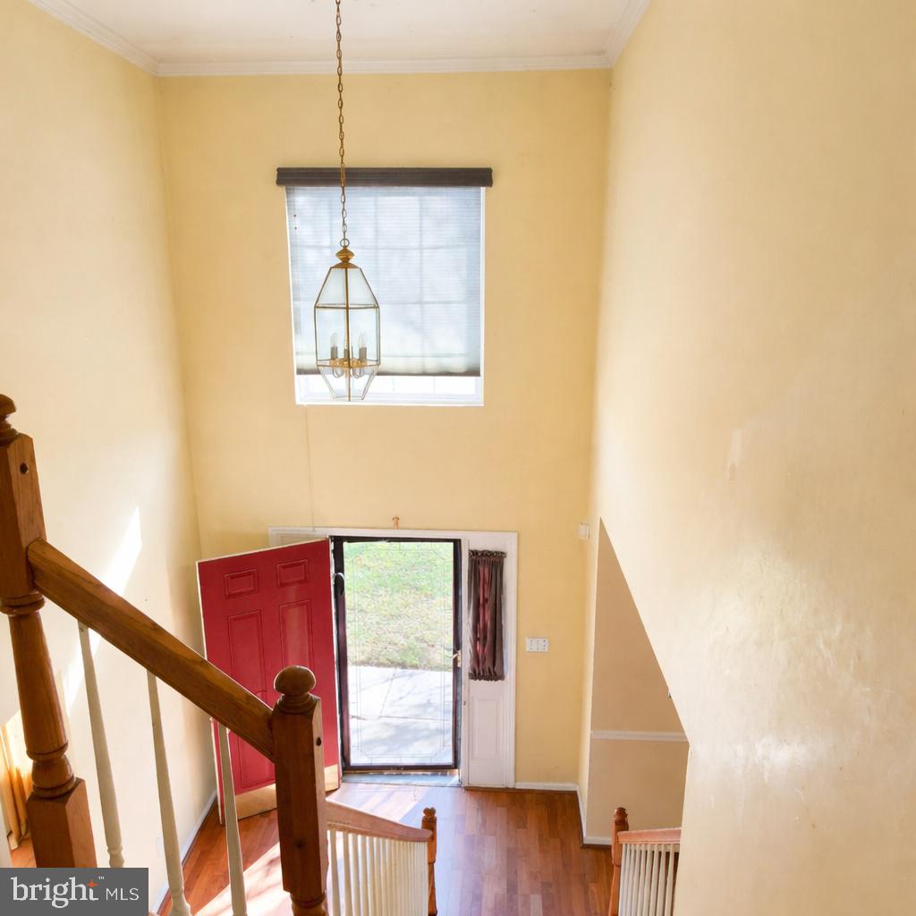 MALLARD POINTE - Residential