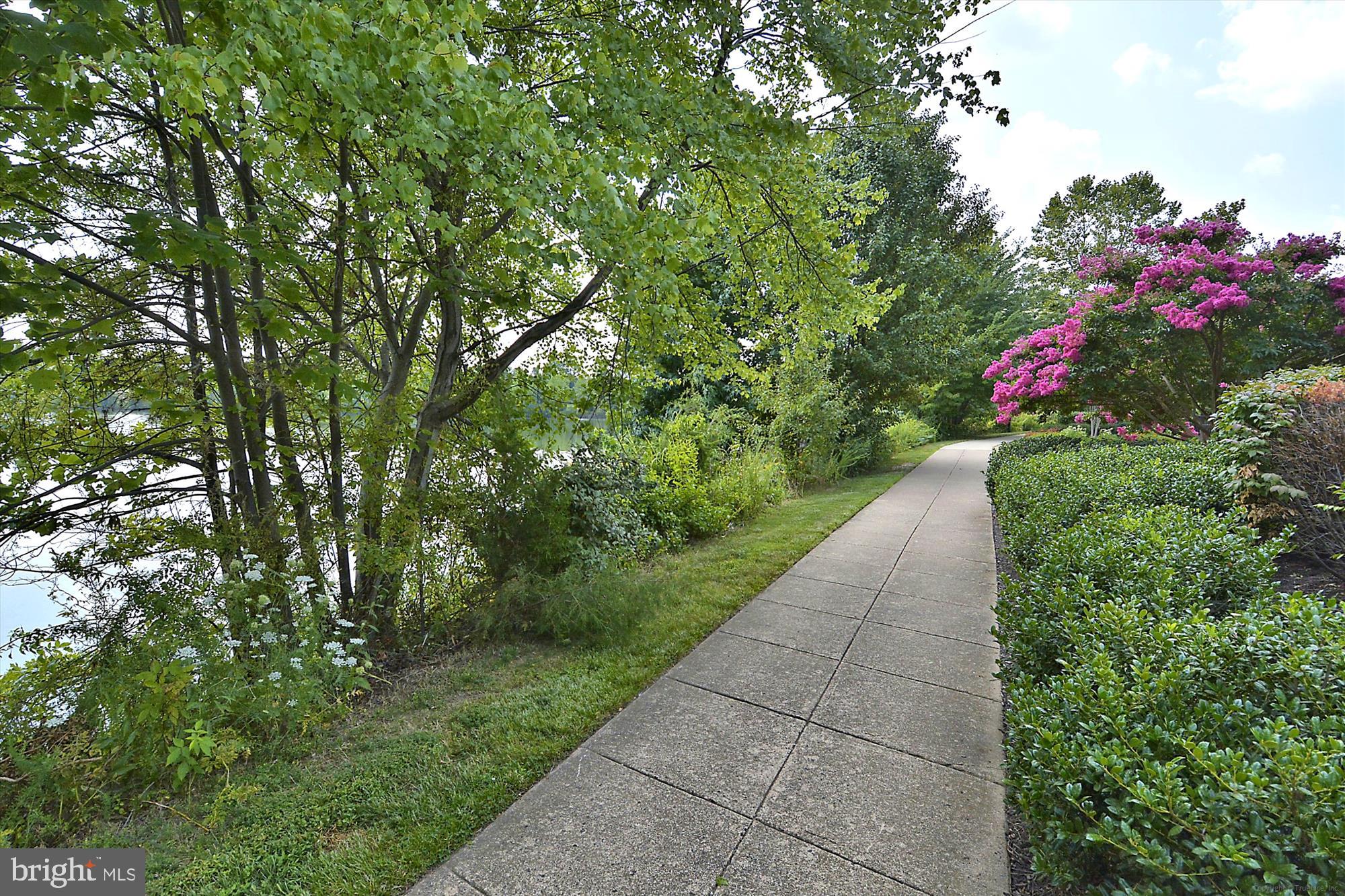 CHANCERY OF KINGSTOWNE - Residential