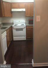 THE OAKS AT SIXTY FIFTH - Residential Lease