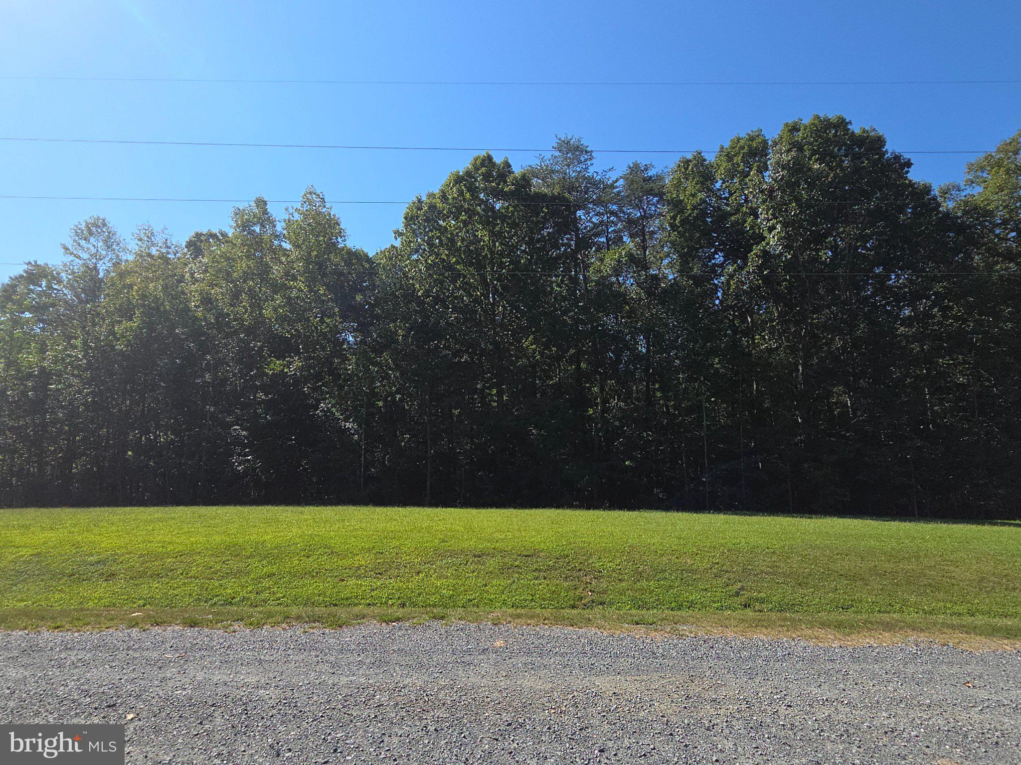 75 TRILLIUM DRIVE