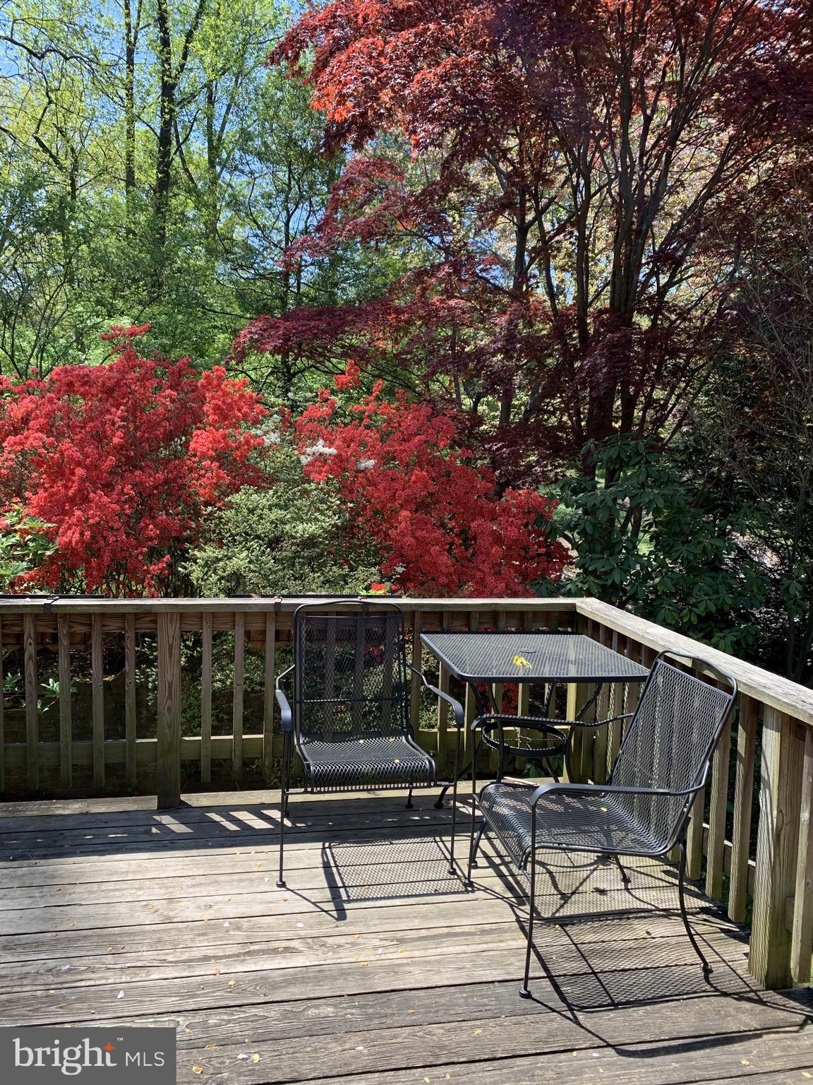 WESTMORELAND HILLS - Residential