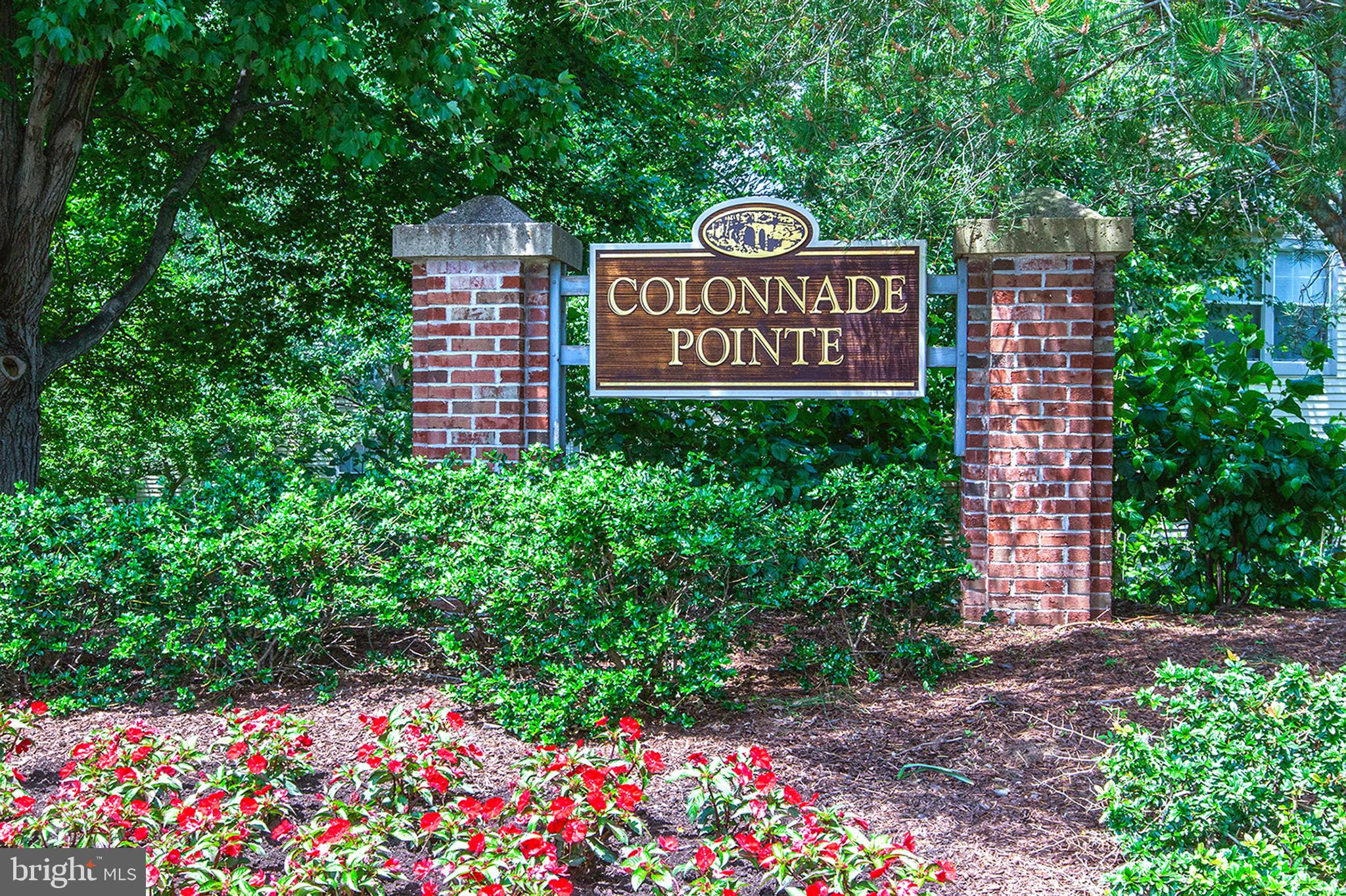 111 BISCAYNE COURT 8