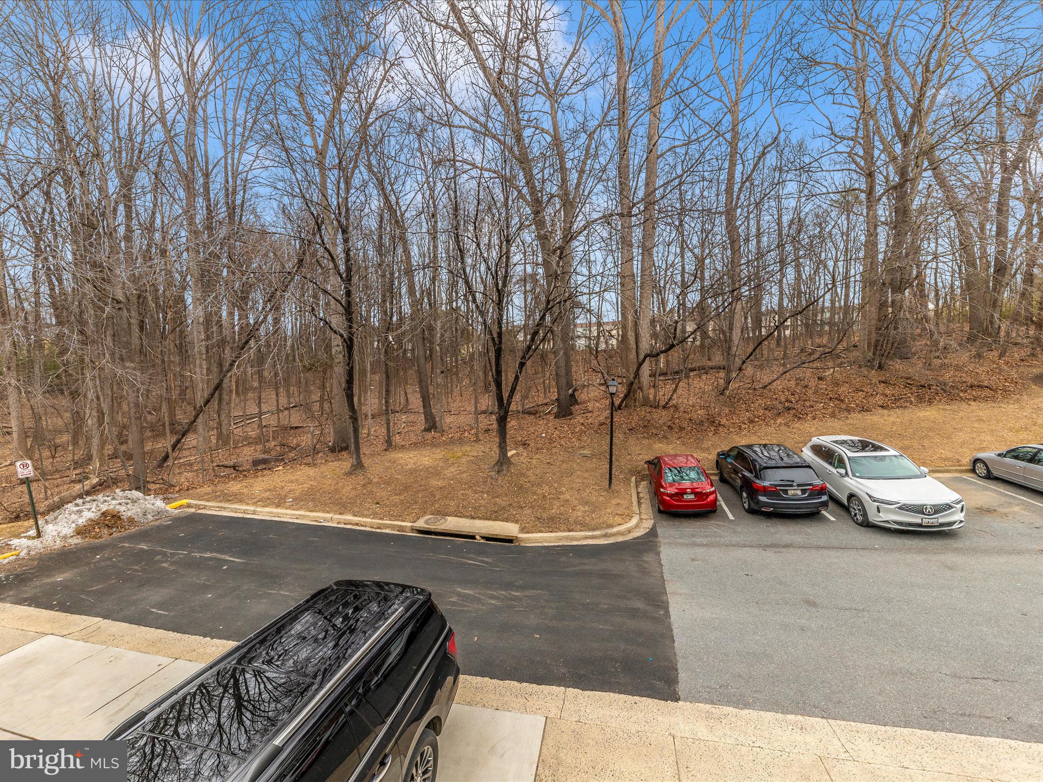 FOREST BROOKE - Residential