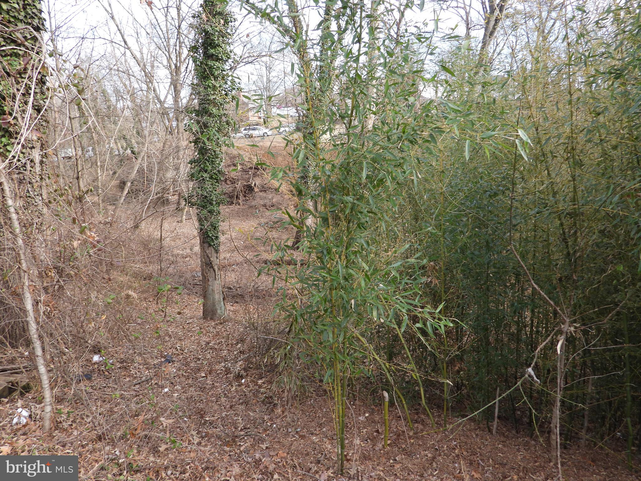 9539 LINVILLE AVENUE