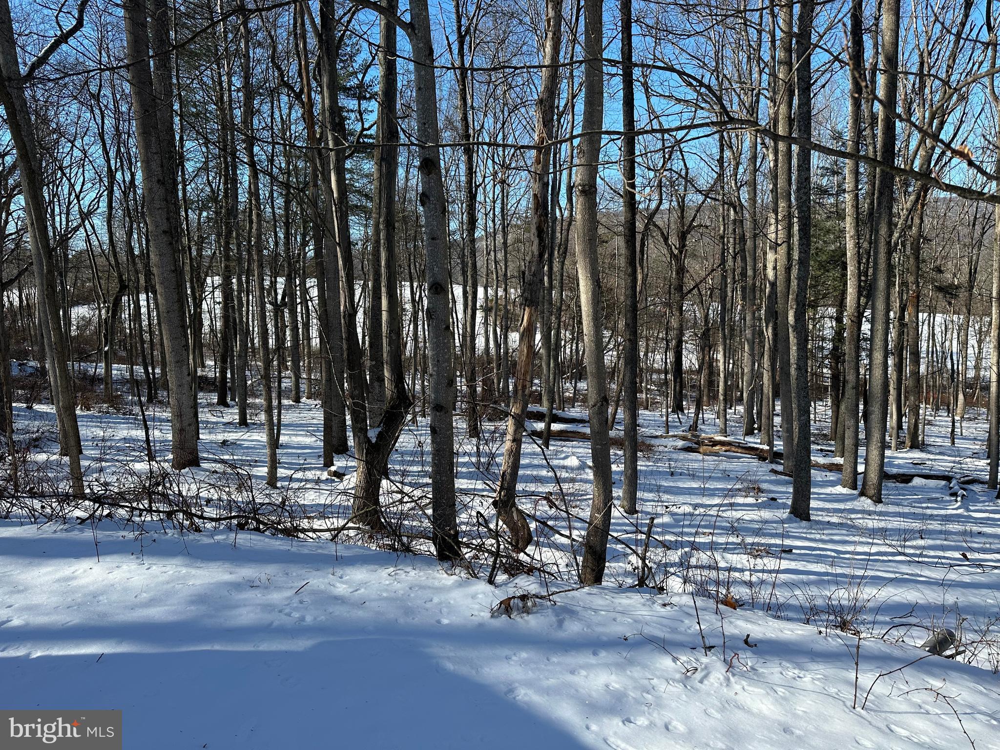 CAPON BRIDGE RESORT - Residential