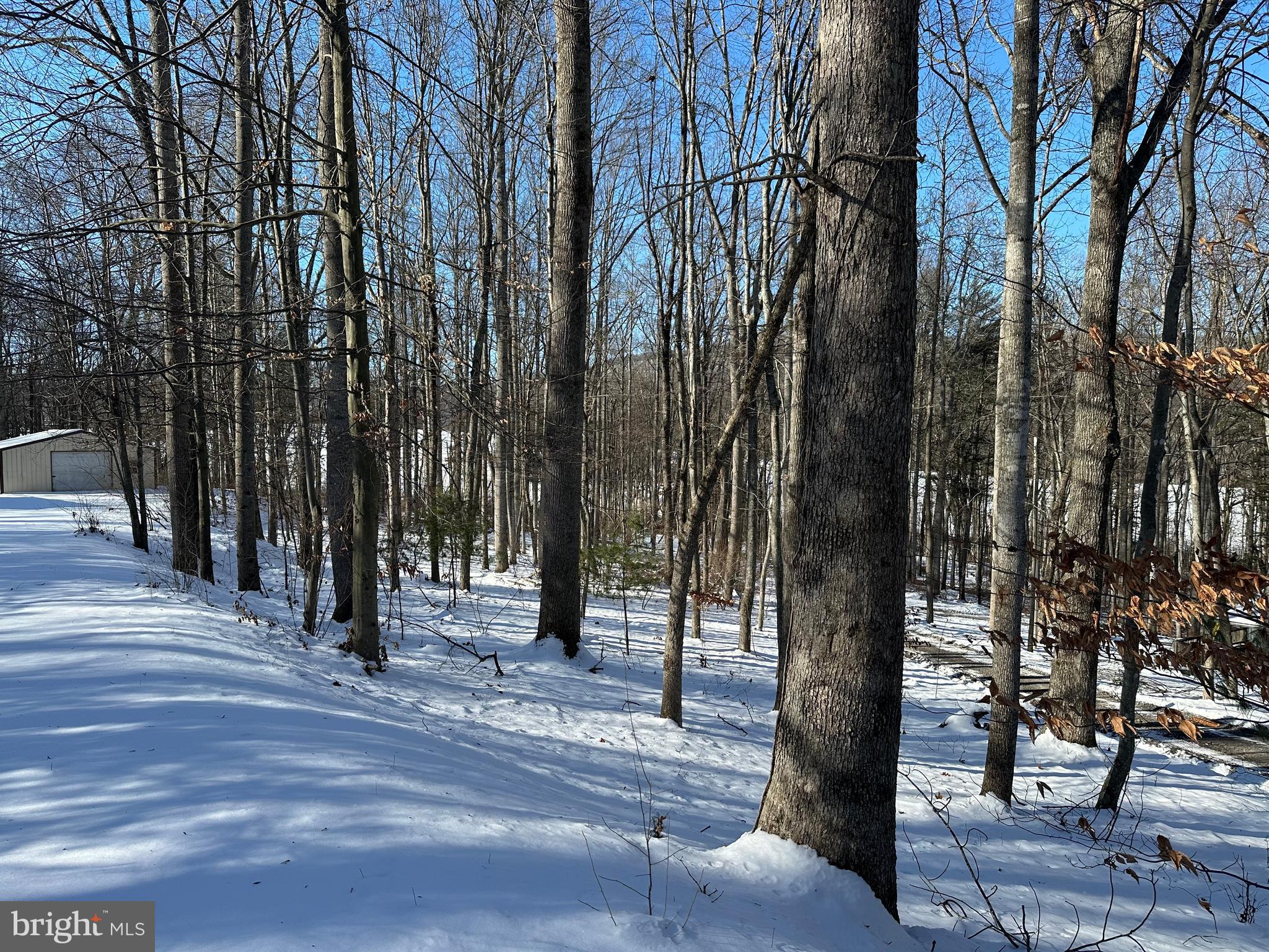 CAPON BRIDGE RESORT - Residential