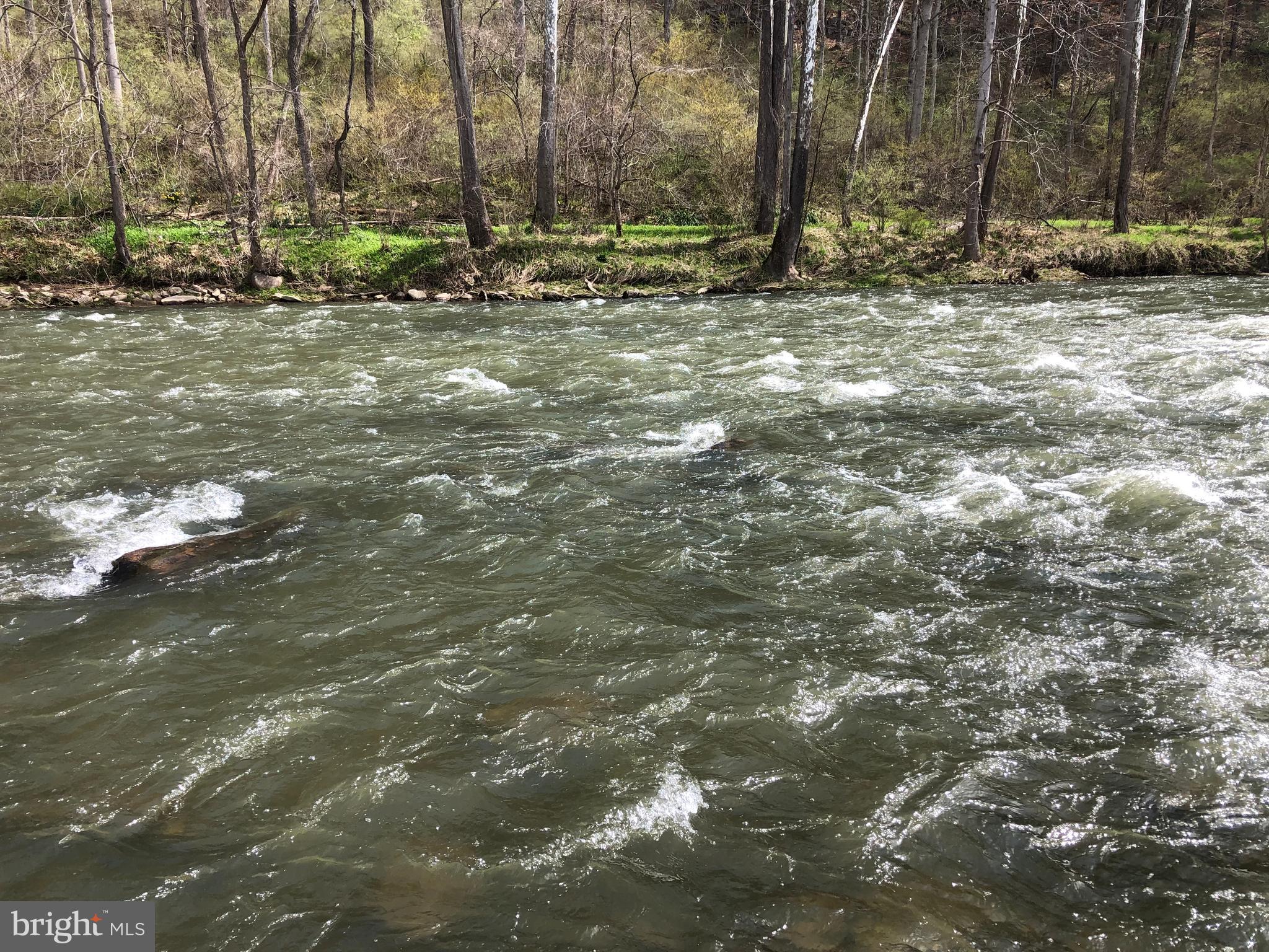 CAPON BRIDGE RESORT - Residential