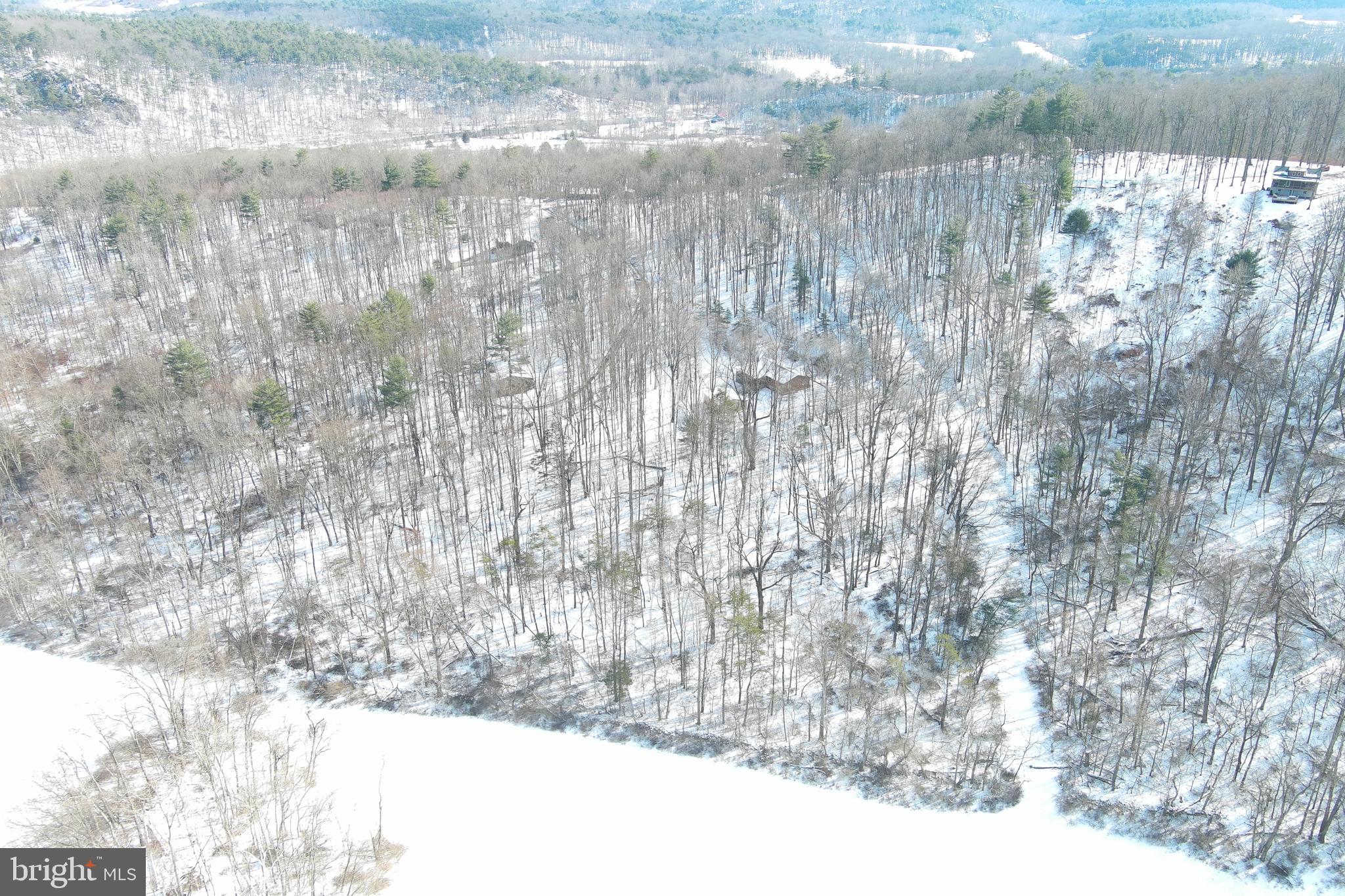 CAPON BRIDGE RESORT - Residential