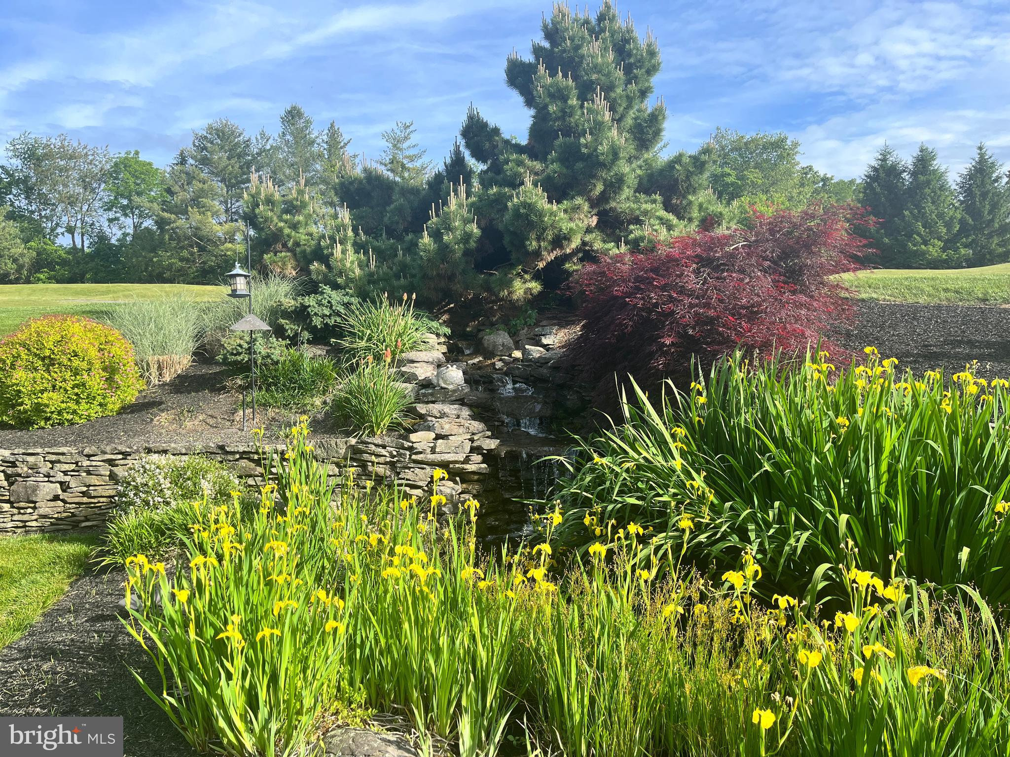 RIVER DOWNS - Residential