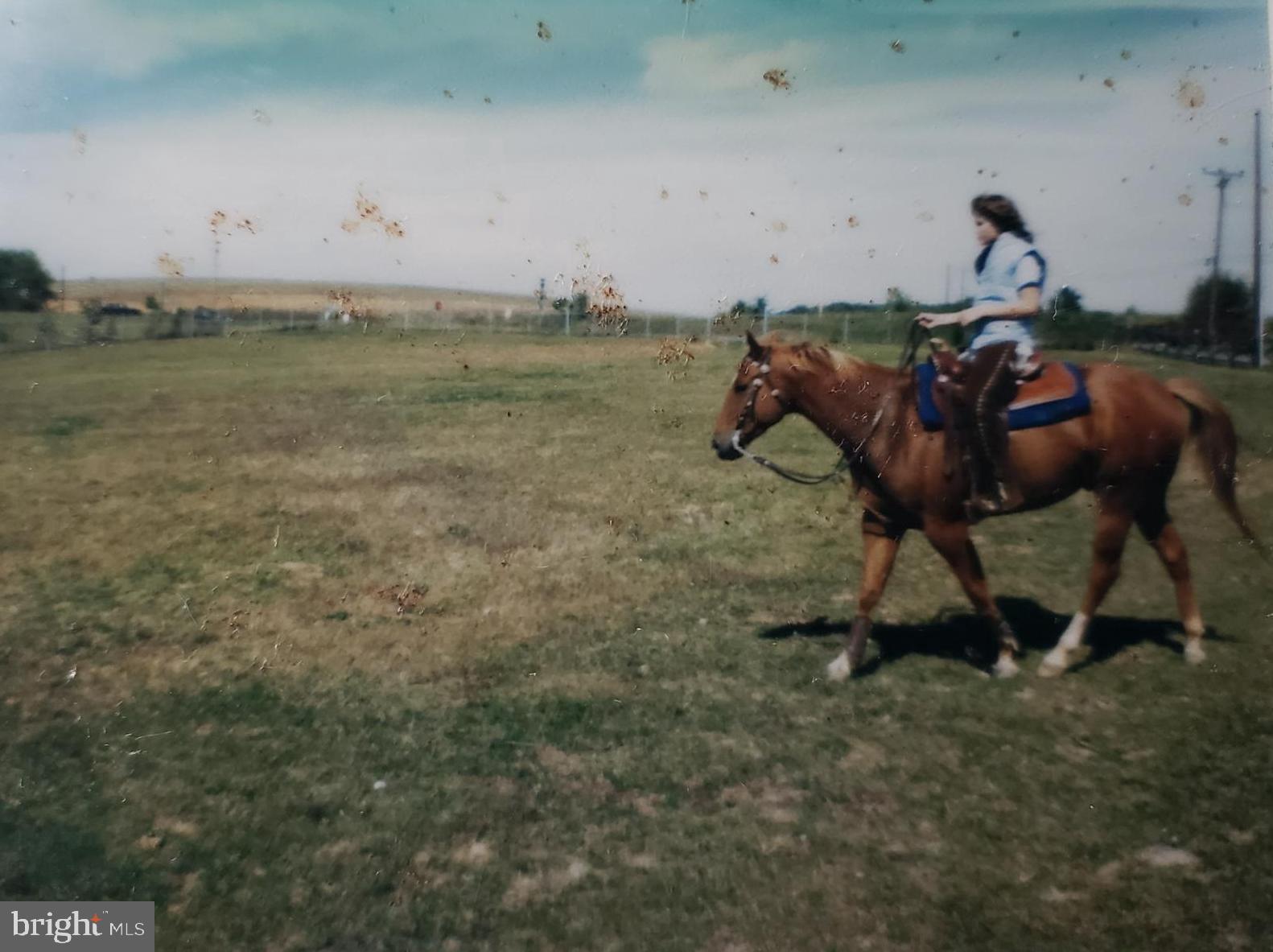 NONE AVAILABLE - Farm