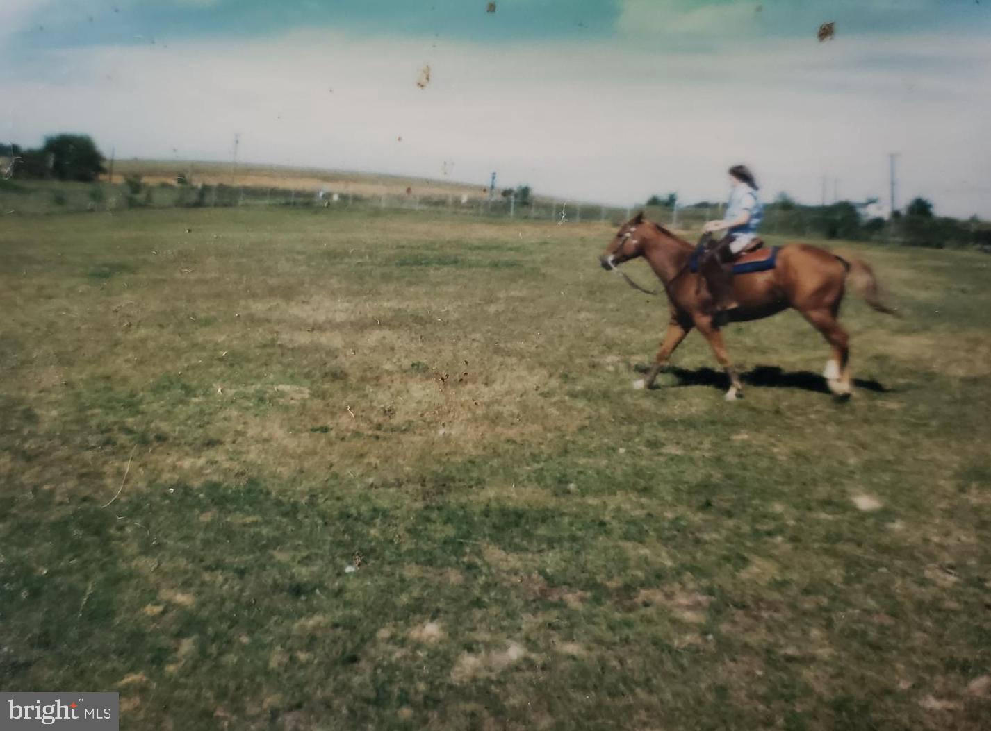 NONE AVAILABLE - Farm