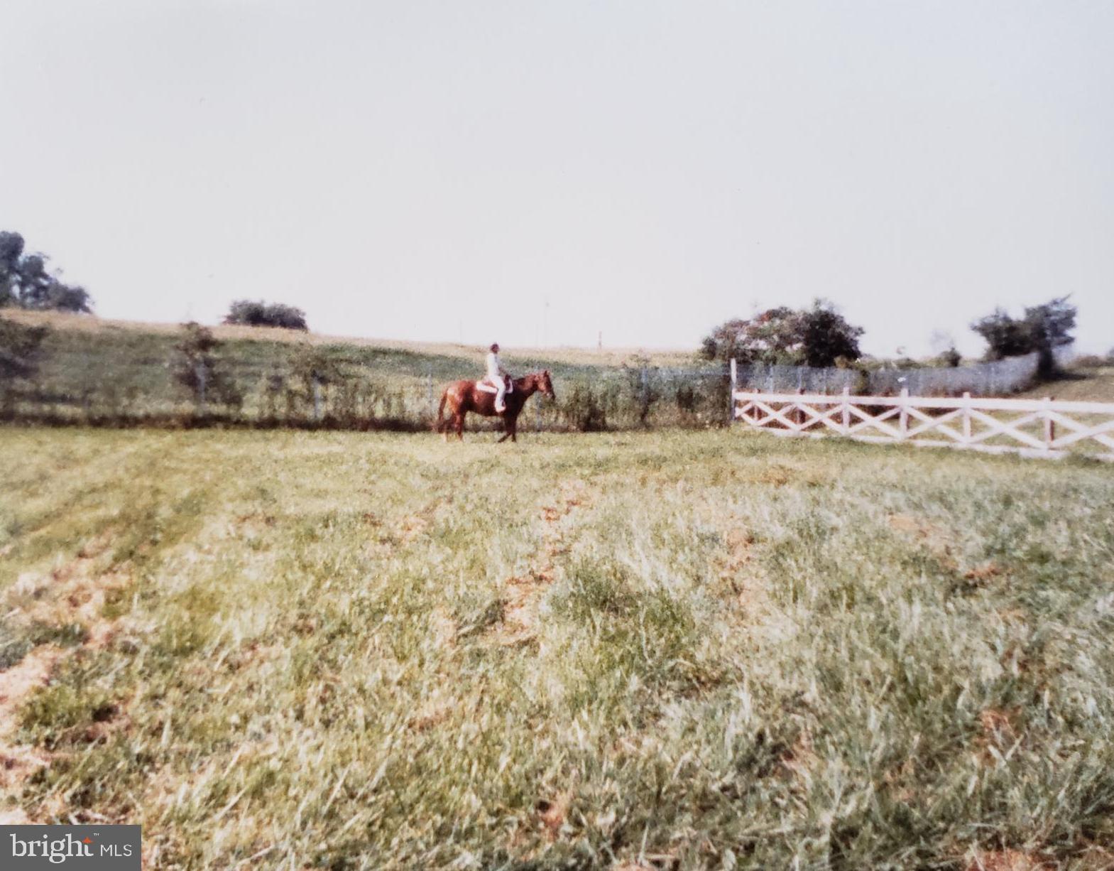 NONE AVAILABLE - Farm