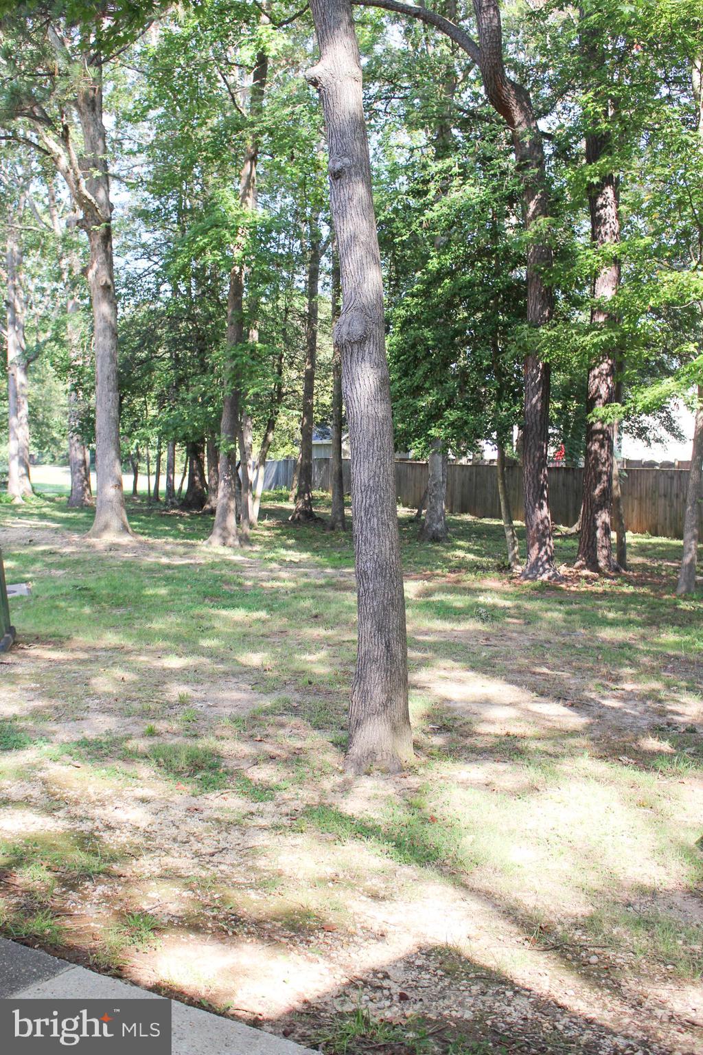 SOMERSET - Residential Lease