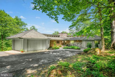 511 CENTER HILL UPPER BLACK EDDY PA 18972
