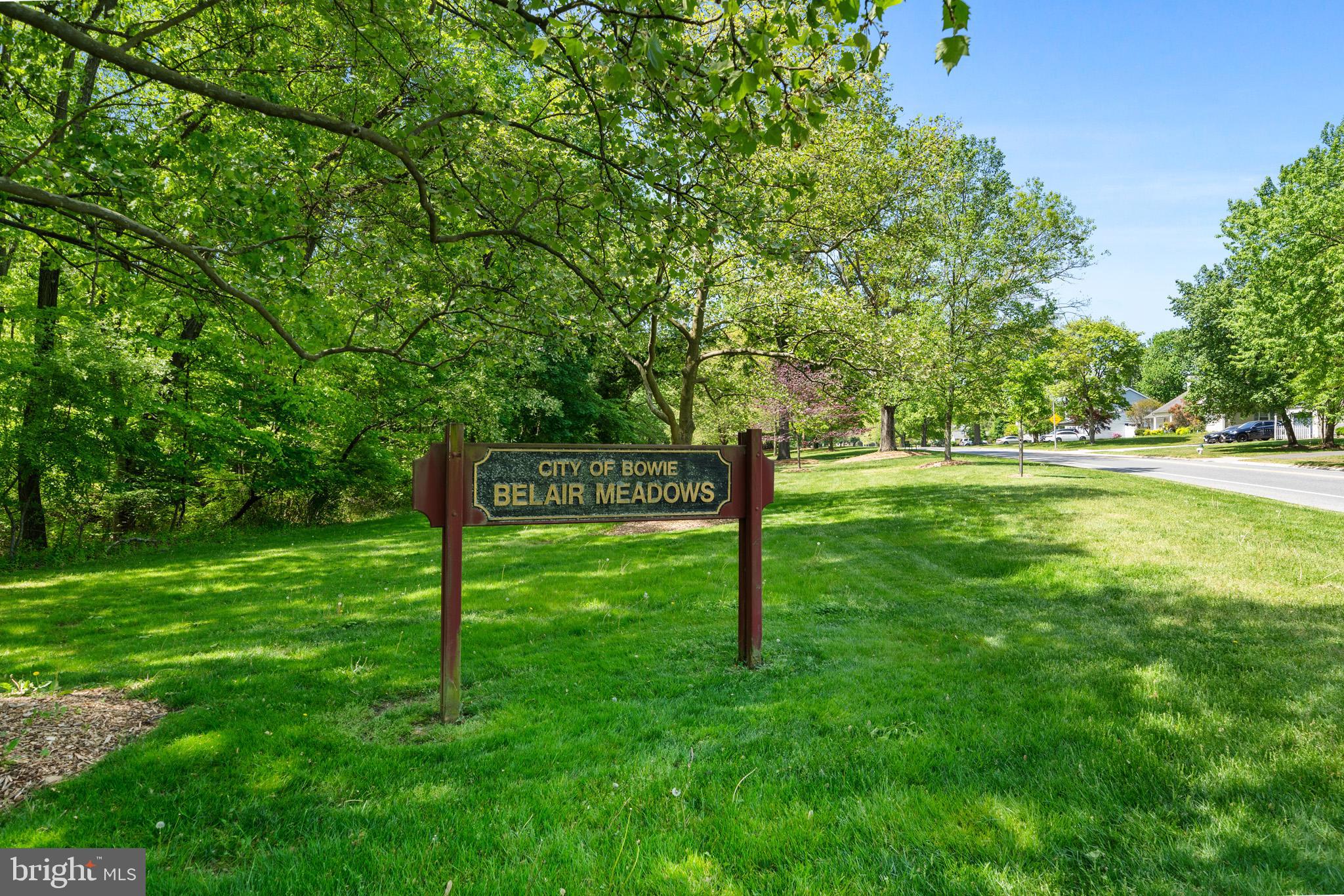 BUCKINGHAM AT BELAIR - Residential