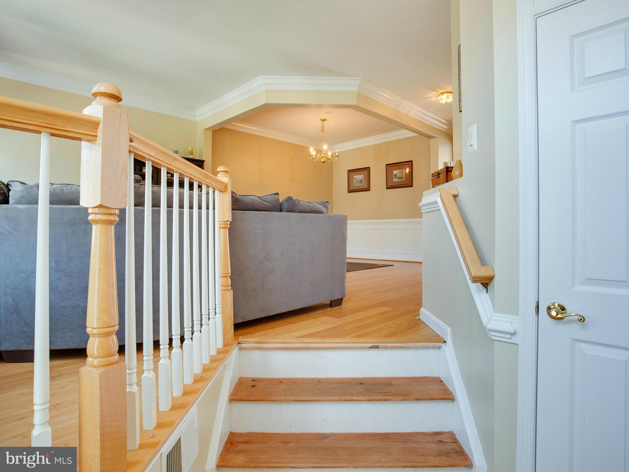 POTOMAC STATION - Residential