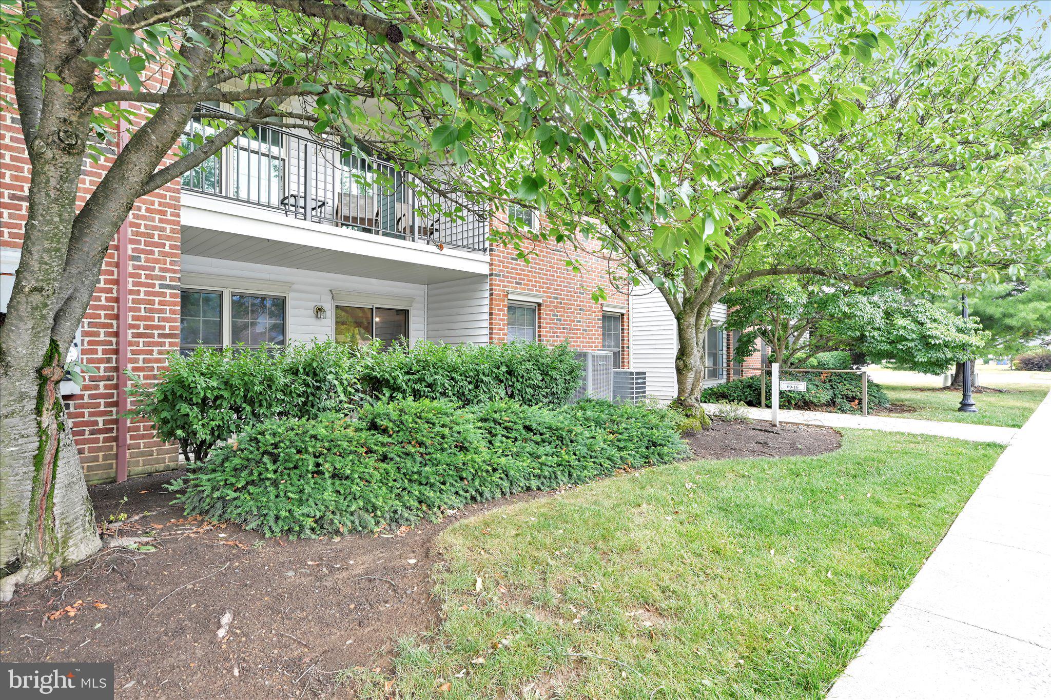 5401 OXFORD DRIVE 11