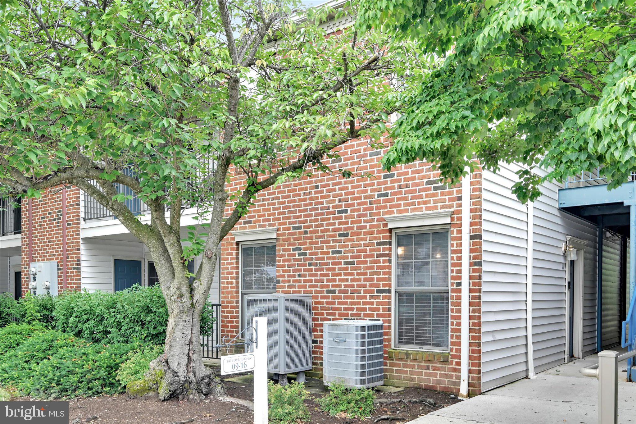 5401 OXFORD DRIVE 11