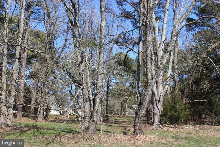 7/134 Wooded lot with water availability. No time frame to build and no builder tie-in. Enjoy all the amenities and the lifestyle on the Eastern Shore of VA. Captain’s Cove is the Eastern Shore of Virginia's fastest growing Golf & Waterfront community. Close to Chincoteague Island, Wallops Island and Ocean City MD. HOA amenities: Pristine 9 Hole Golf Course, indoor/outdoor pools (2), fitness center, basketball & pickle-ball courts, boat ramp, docks, playground, biking & walking trails, dog park, security and so much more. Call for information.