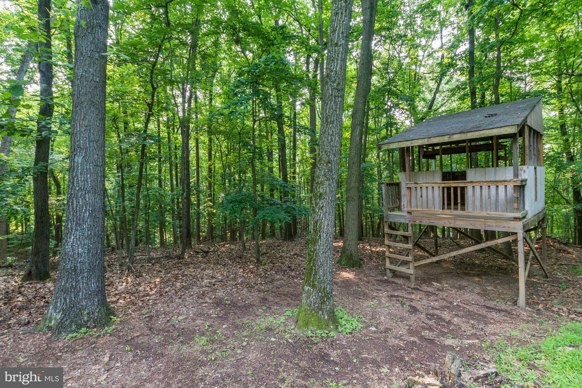 THE PALISADES - Residential