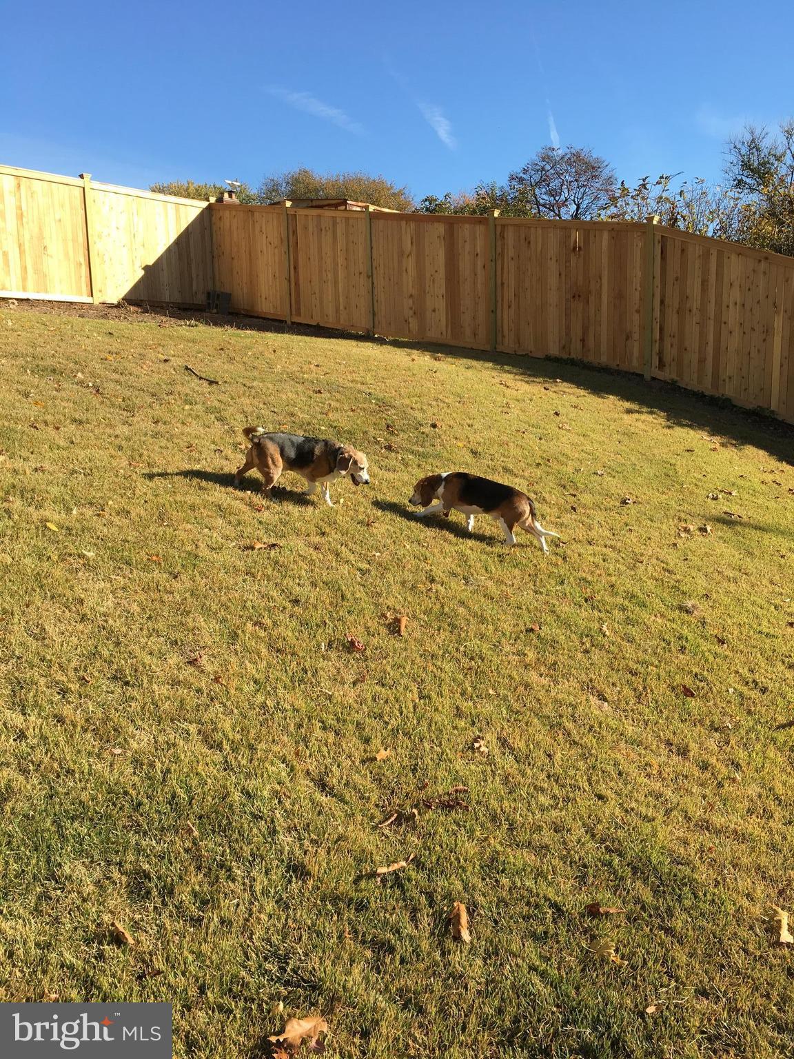 CARROLL KNOLLS - Residential