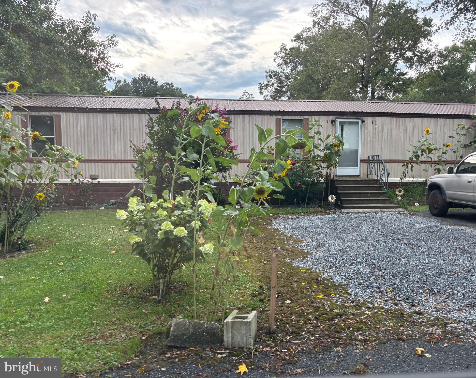31414 COLLINS COURT
