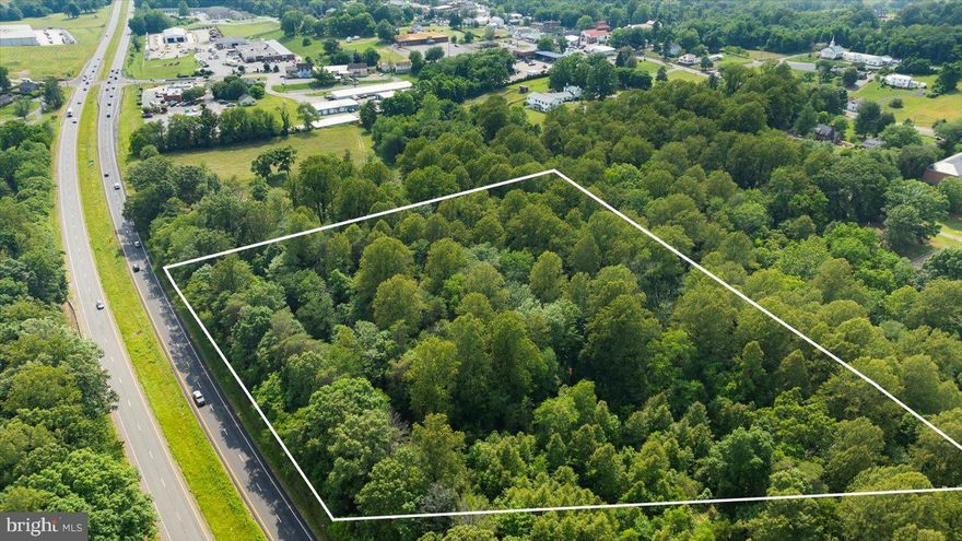 Prime 7.8-Acre Development Opportunity in the Heart of Madison County

Exceptional location fronting busy Route 29 with additional right-of-way access off Main Street. This 7.8-acre parcel is zoned R1 (Low Density Residential) and offers an outstanding opportunity for residential development or potential civic use. The land is undeveloped and features a mostly level topography—ideal for building.

Strategically situated near county government buildings and  Waverly Yowell Elementary School, this property offers convenience, visibility, and accessibility. Public utilities are nearby, and the location supports a variety of possibilities with proper approvals.

A rare chance to invest in a growing area with strong community infrastructure already in place. Bring your vision to life in Madison County!
