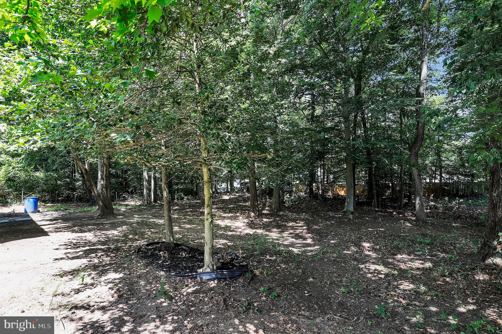 MONTPELIER WOODS - Residential