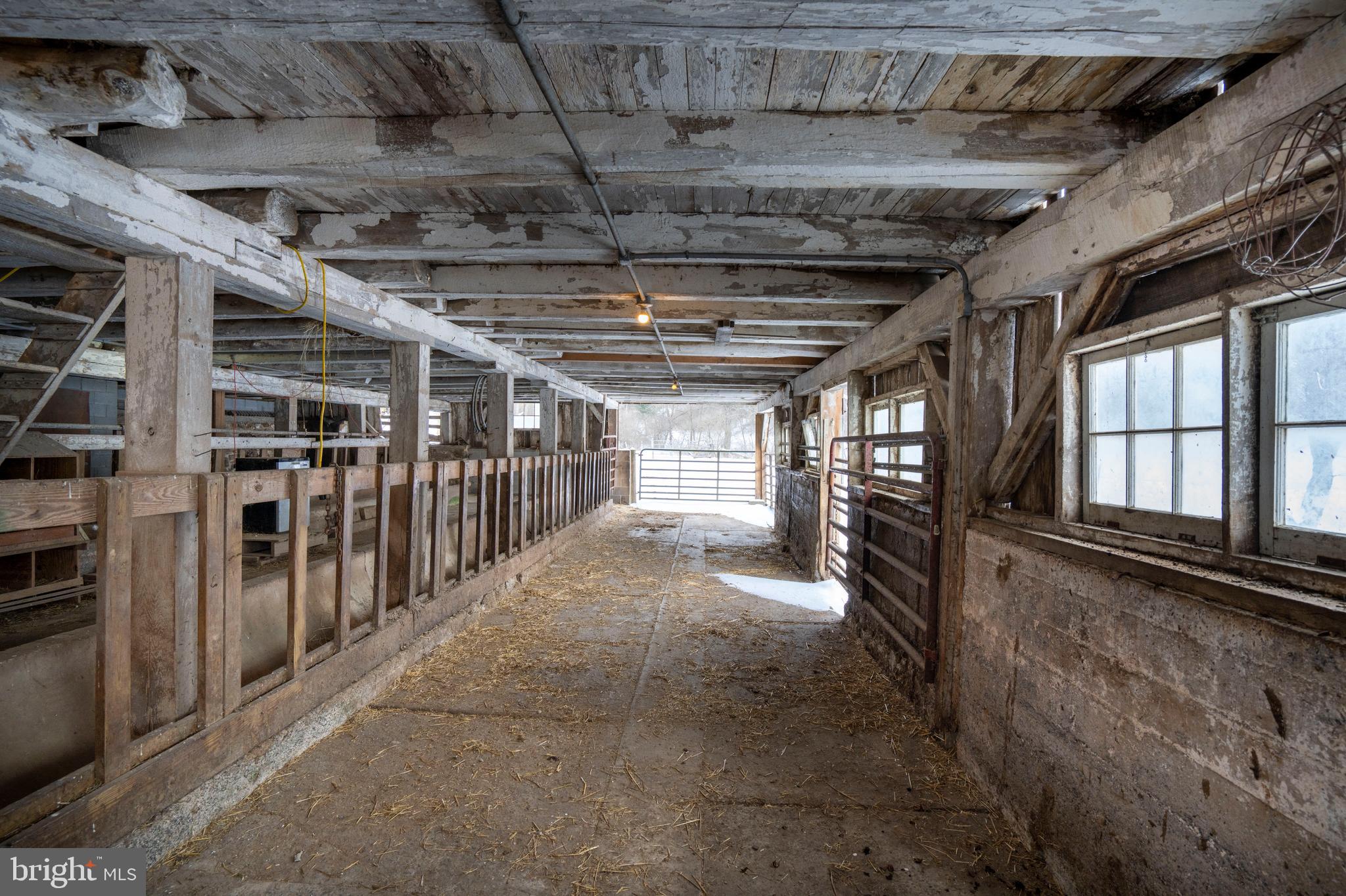 NONE AVAILABLE - Farm