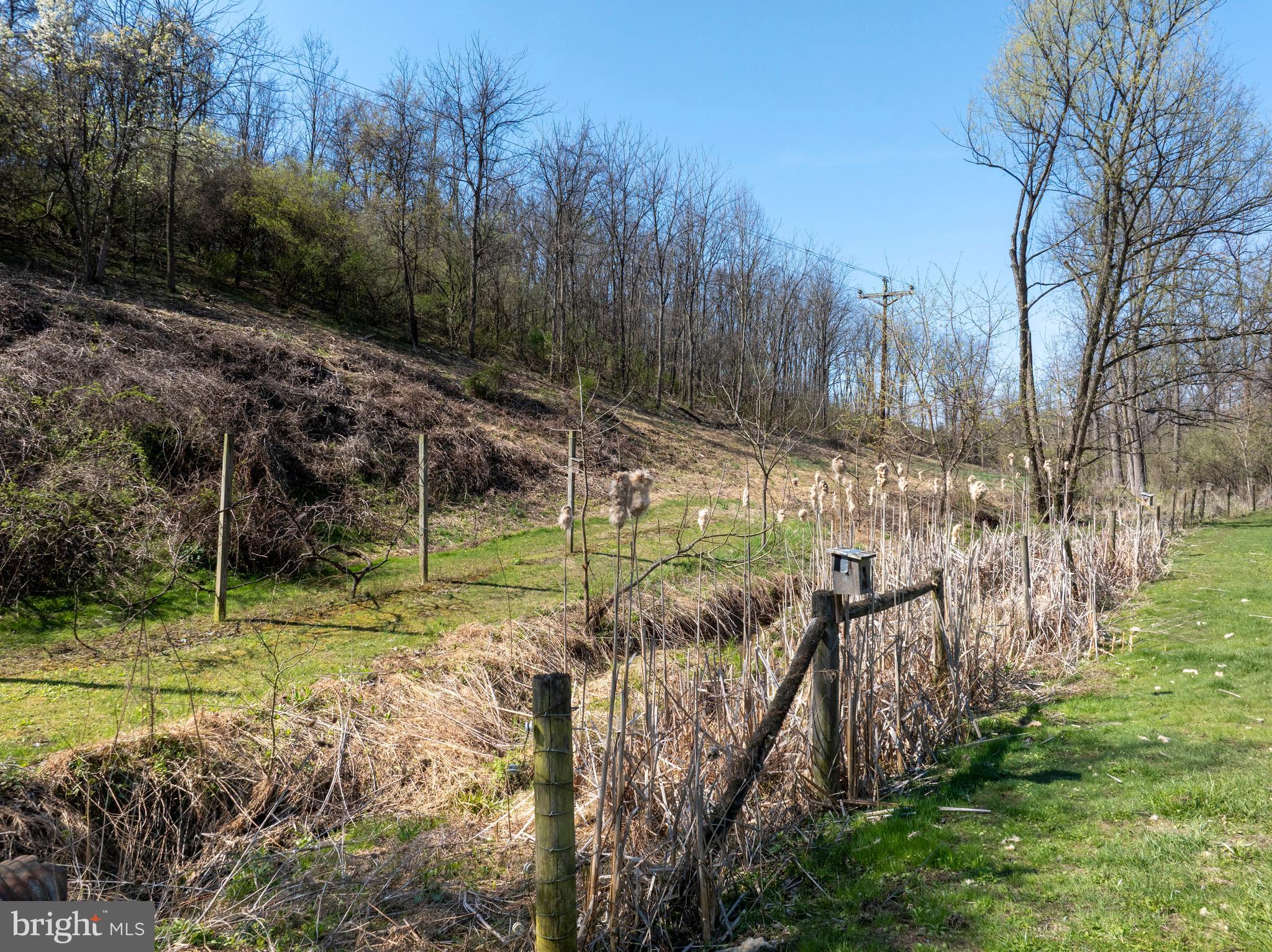 NONE AVAILABLE - Farm