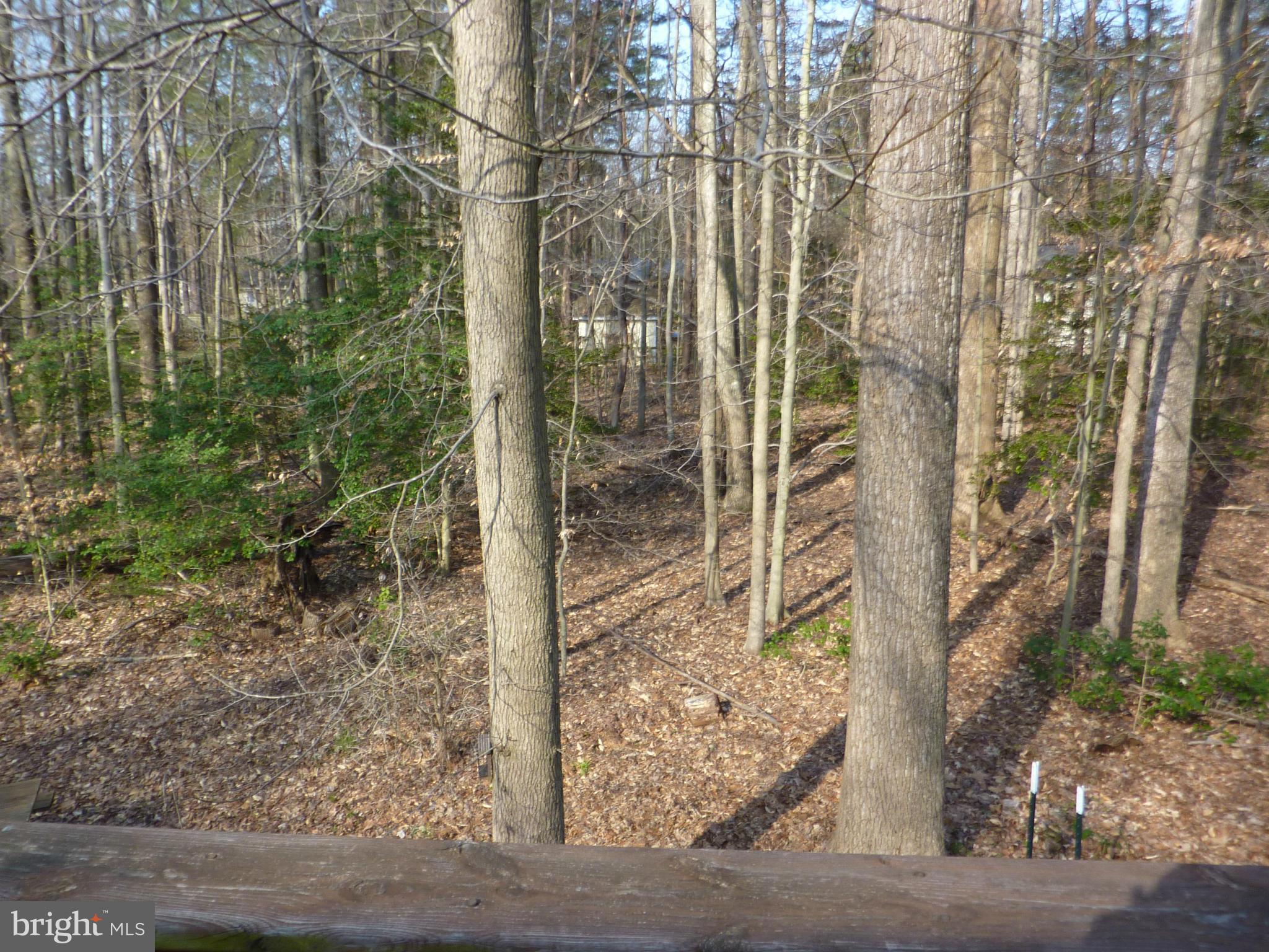 PRESIDENTIAL LAKES - Residential