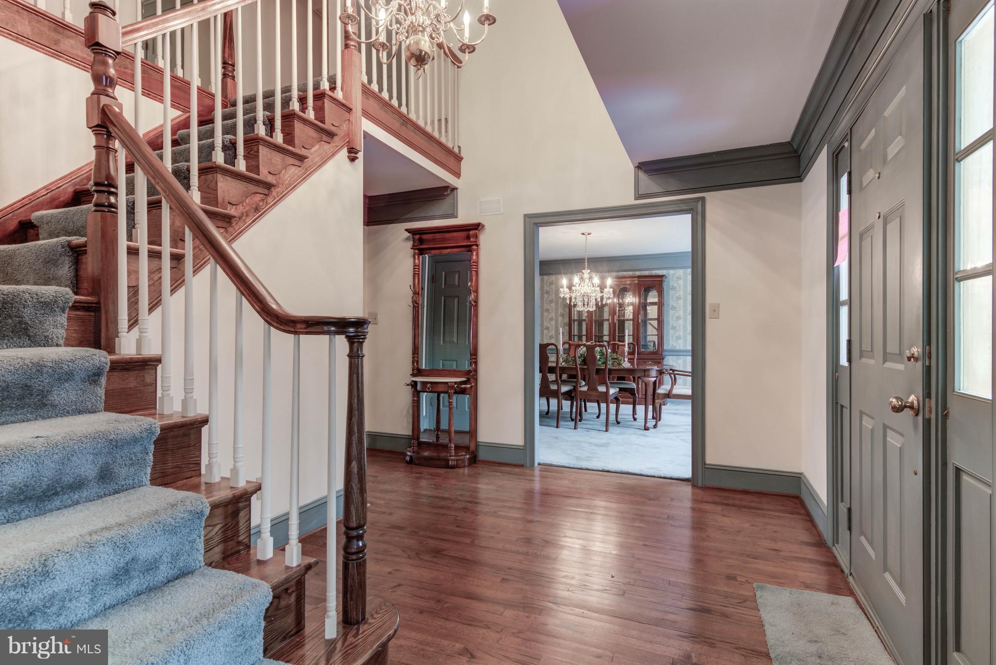 THE WOODS - Residential