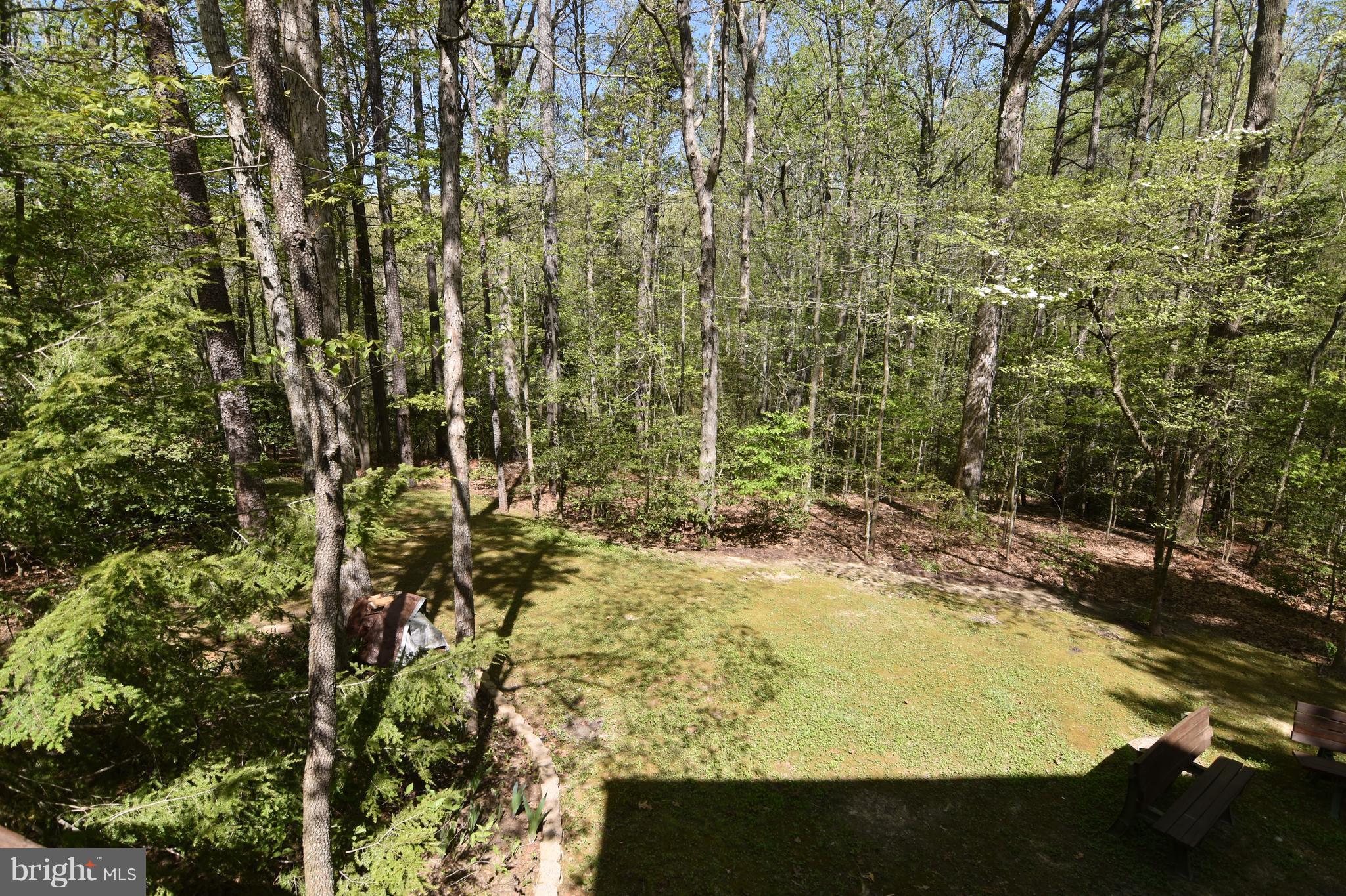 ORCHID PARK OF WILDEWOOD - Residential