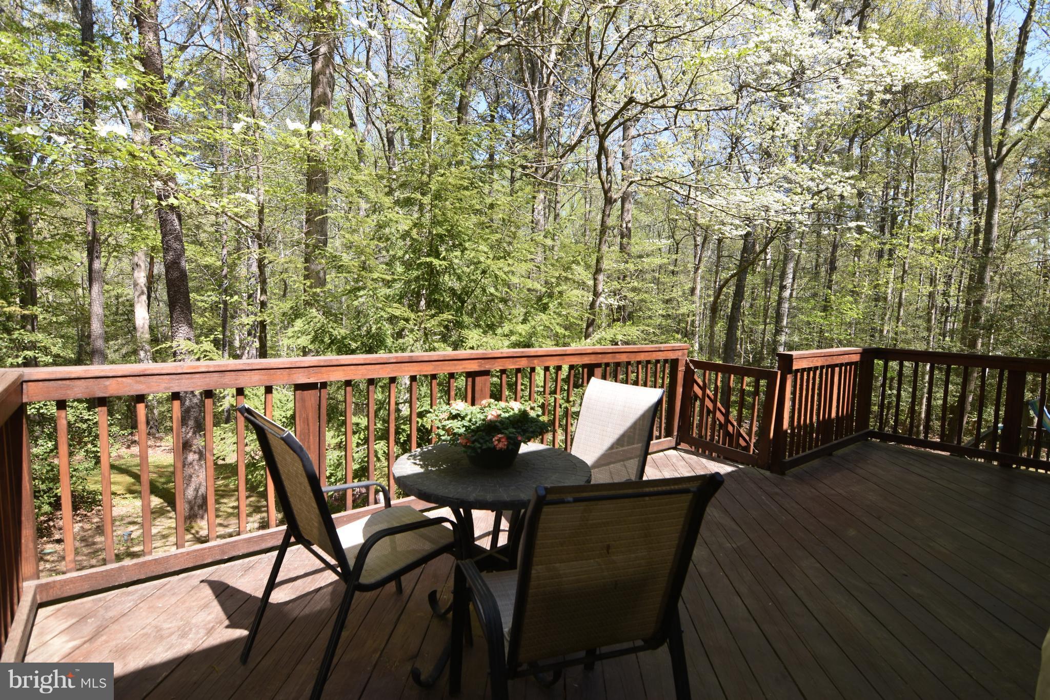 ORCHID PARK OF WILDEWOOD - Residential