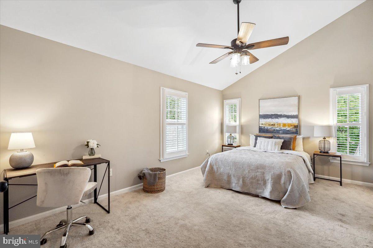 CHARLESTON COLLECTION - Residential