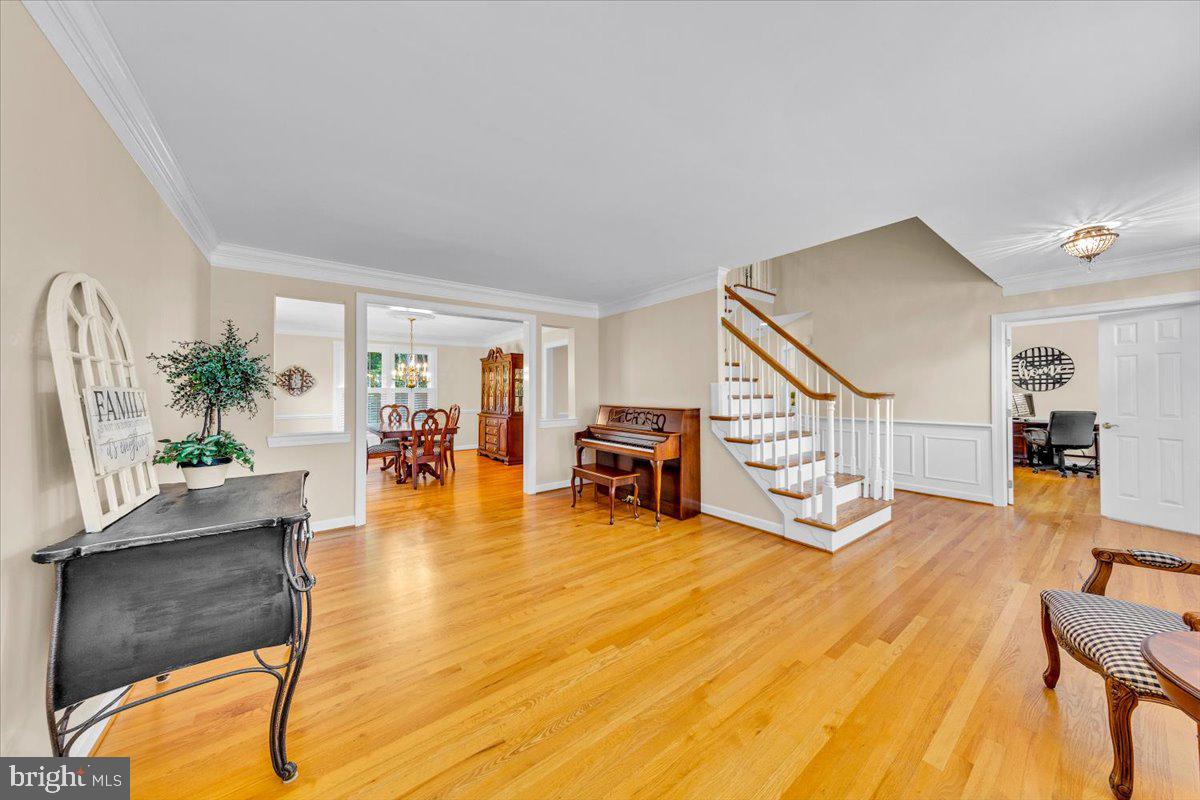 LITTLE ROCKY RUN - Residential