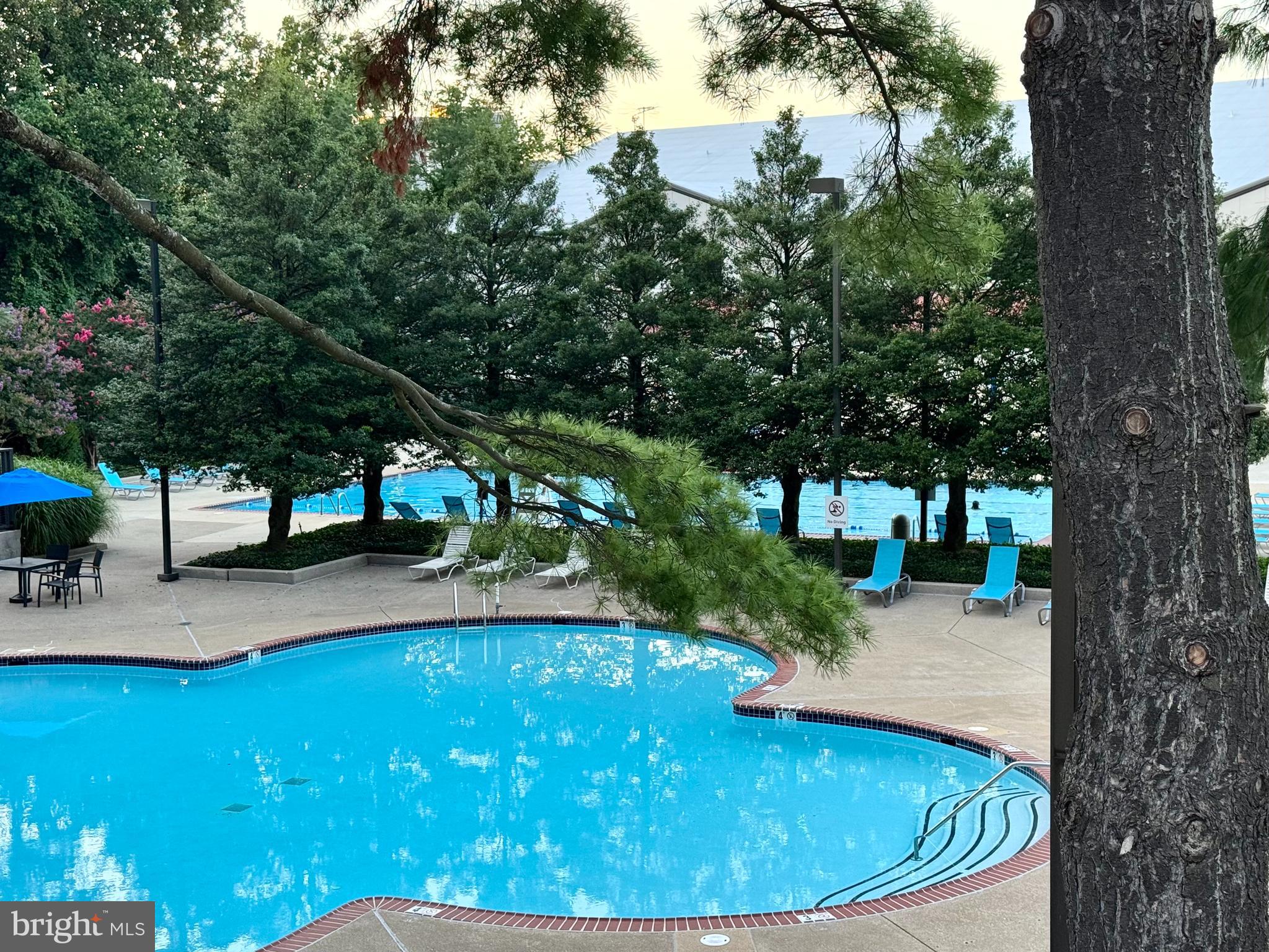 REGENCY AT MCLEAN - Residential